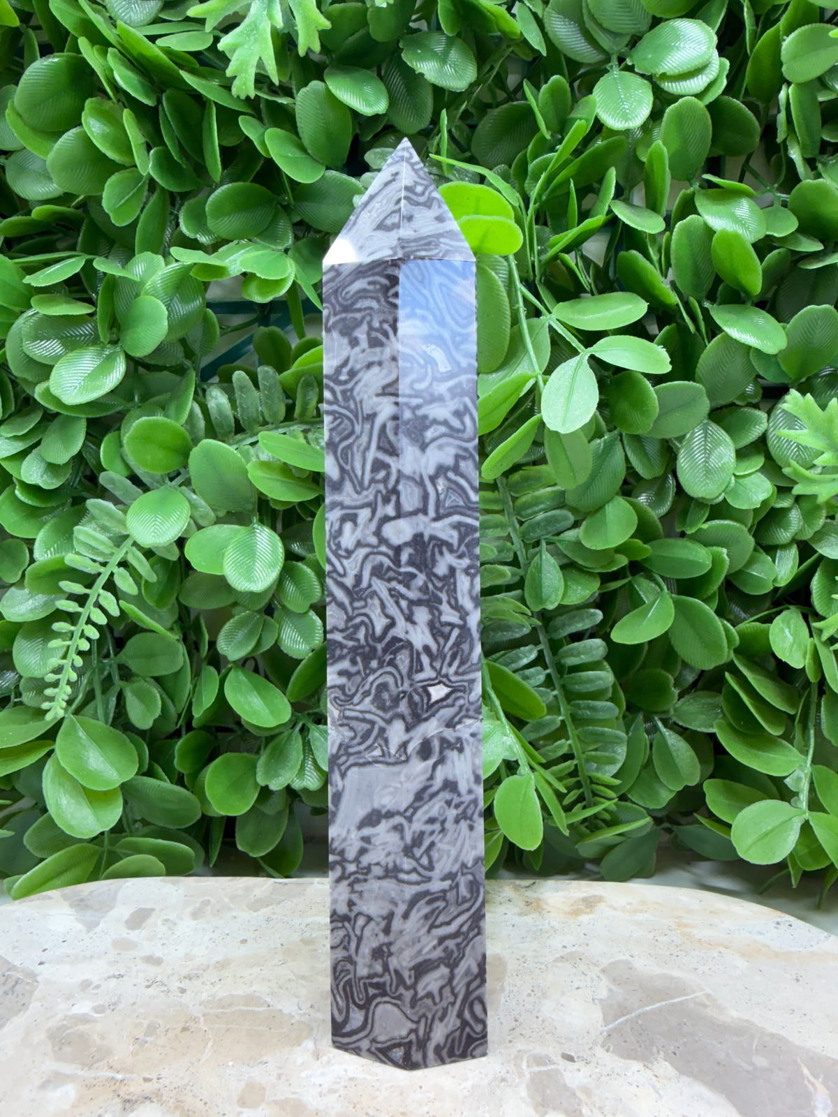 Black Crazy Lace Tower 466g