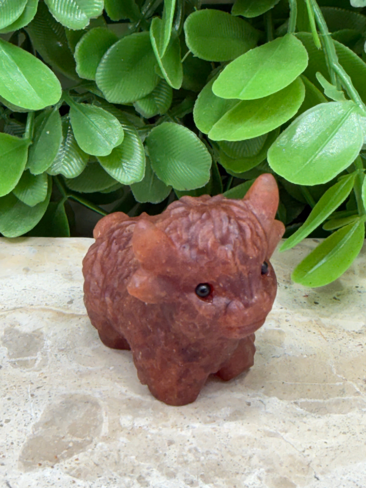 Sunstone Highland Cow | Joy • Confidence • Abundance