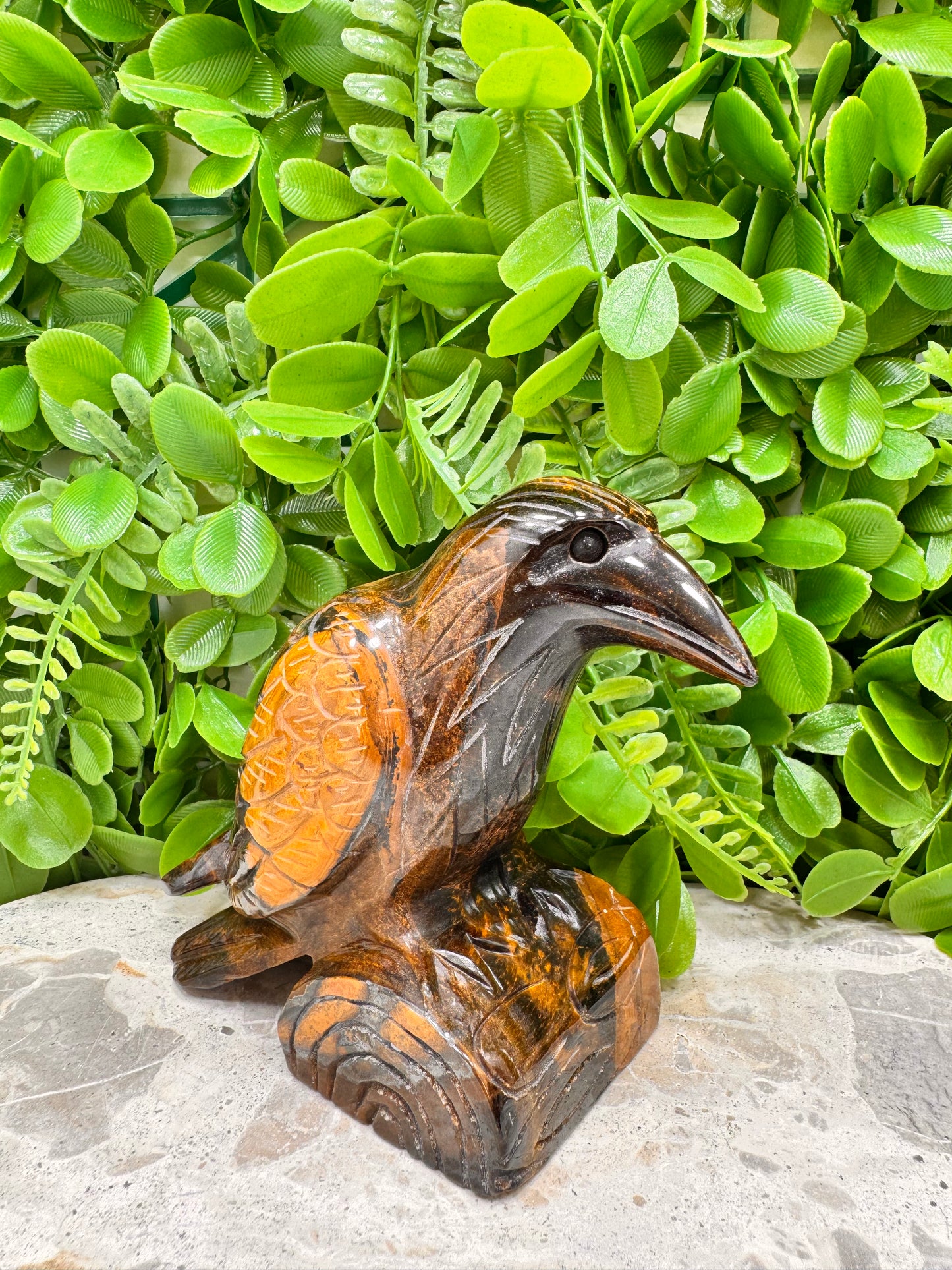 Tigers Eye Raven 746g