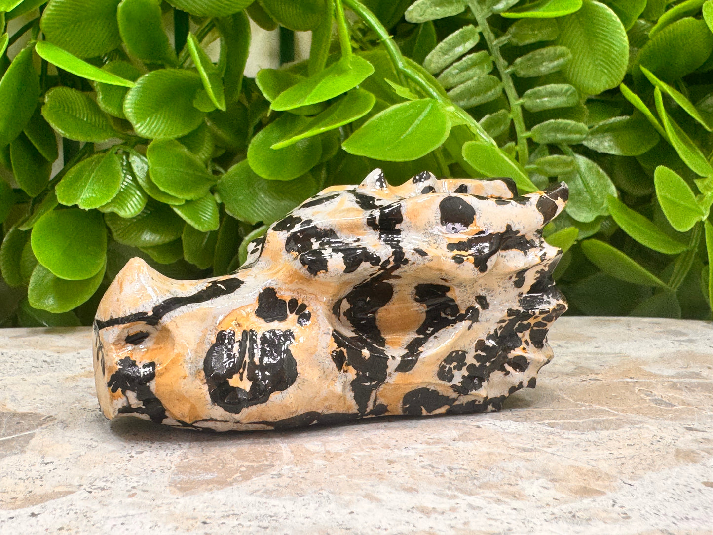 Picture Jasper Dragon Skull 122g