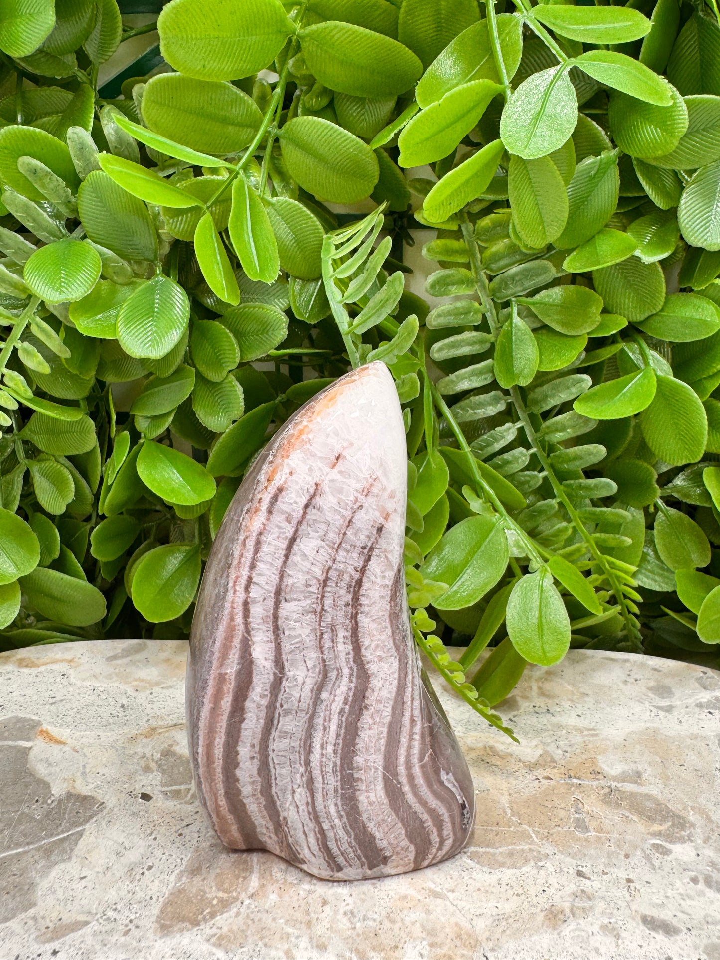 Chocolate Aragonite Freeform 230g