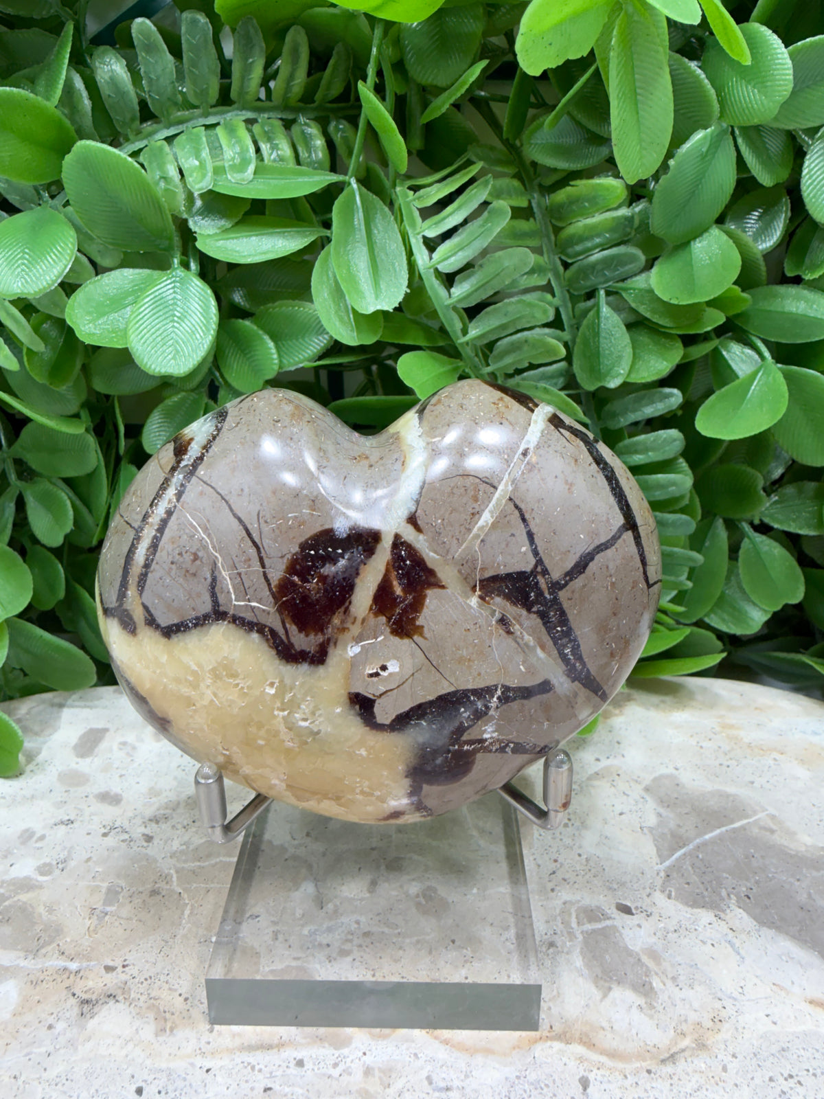 Septarian Dragon Stone Heart 290g