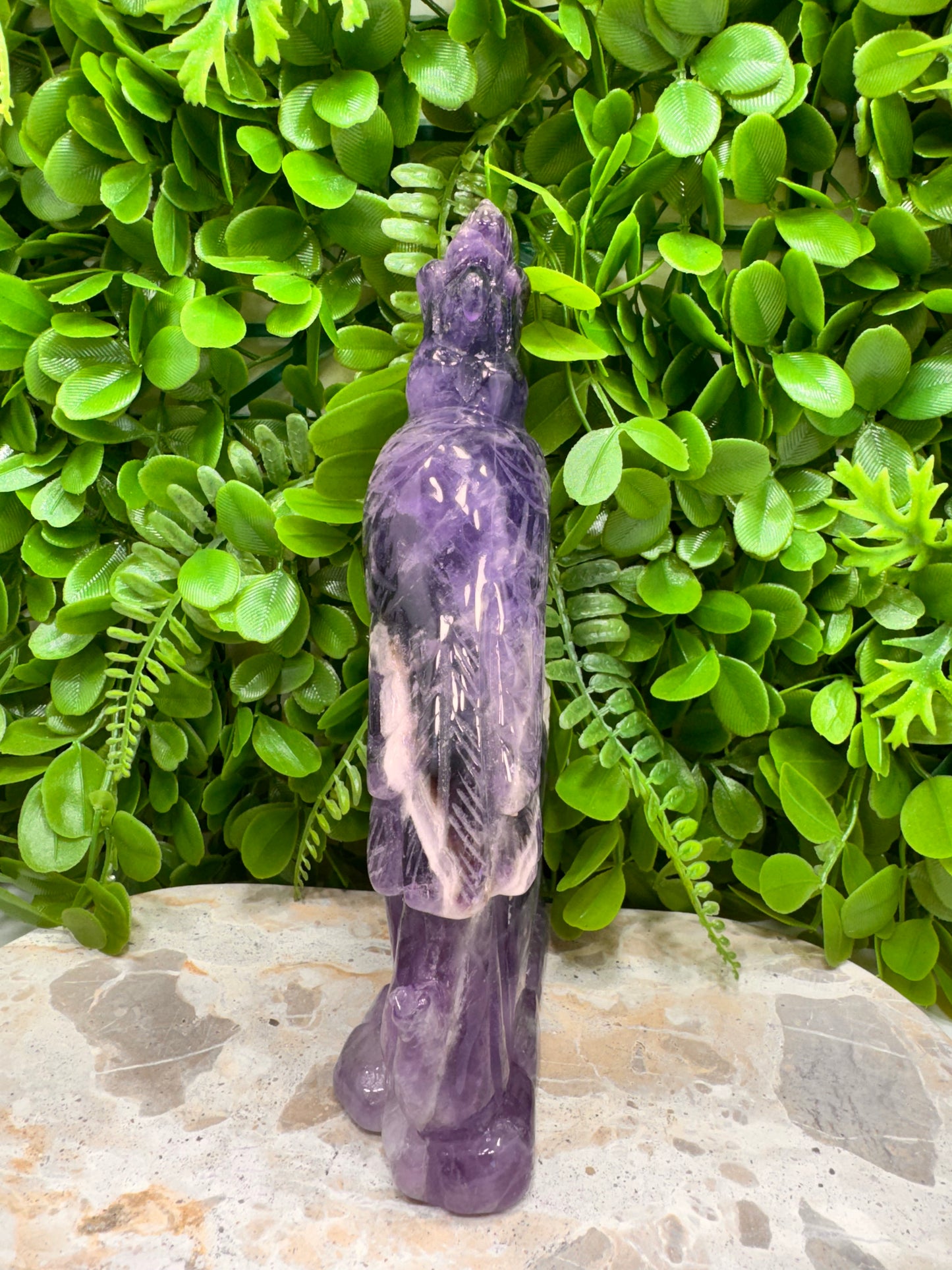 Chevron Amethyst Cockatoo 952g