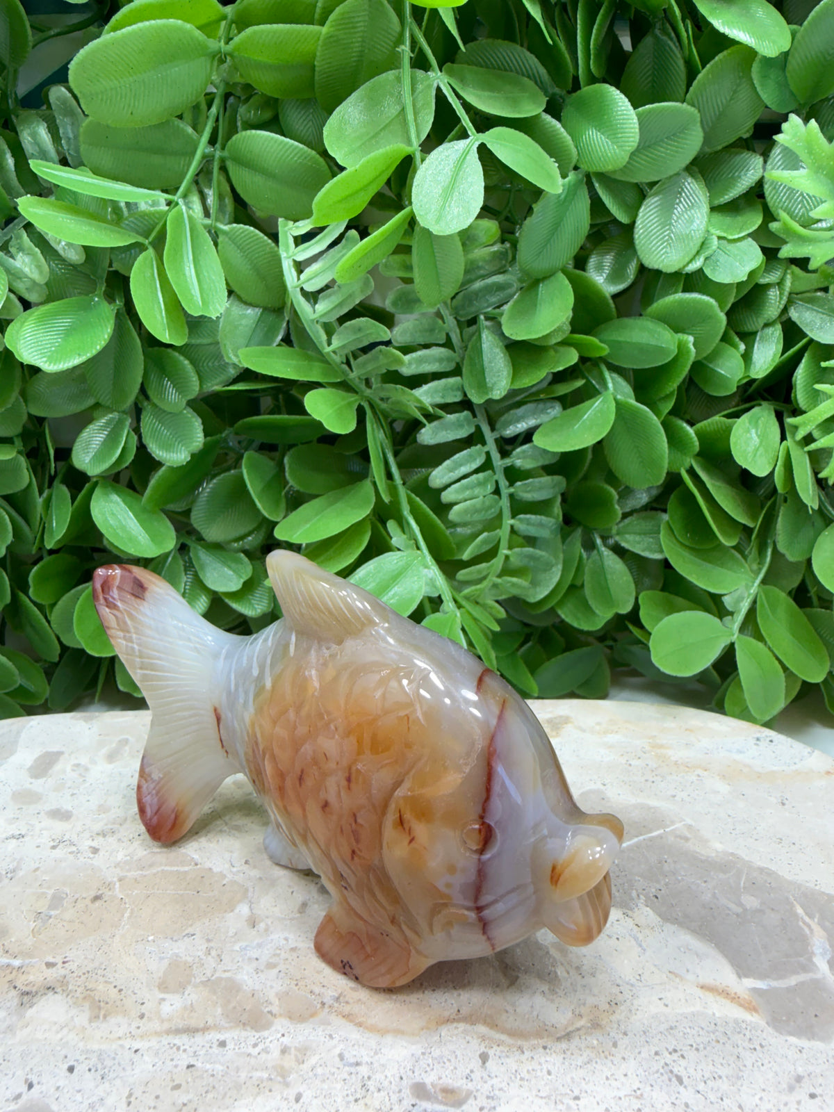 Carnelian Fish 198g | Motivation • Confidence • Creativity