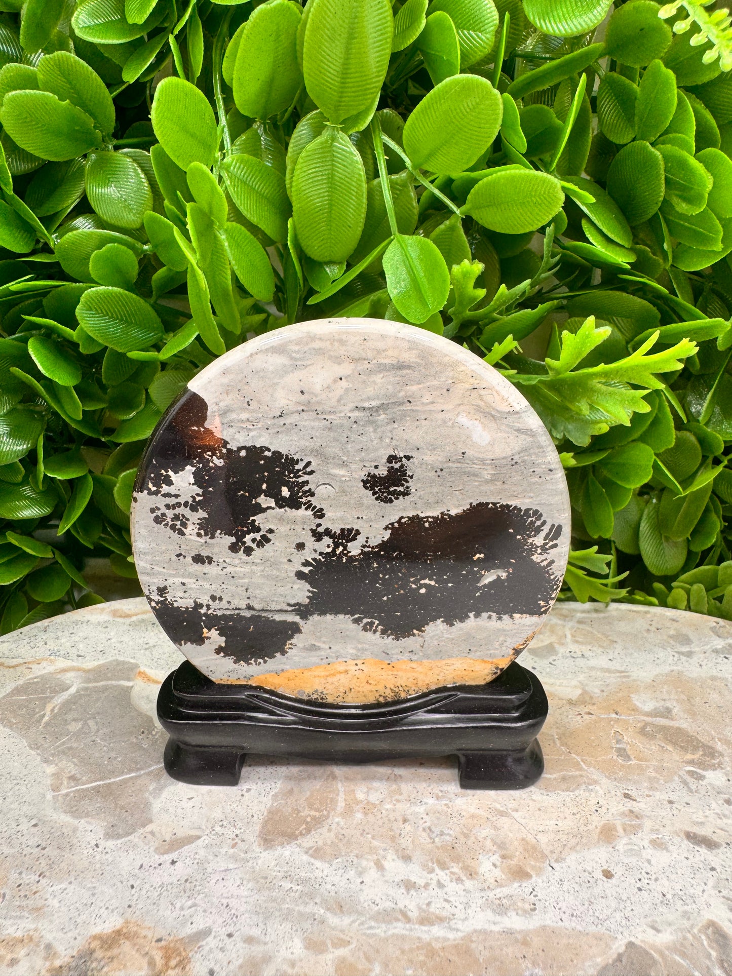 Picture Jasper on Stand 142g