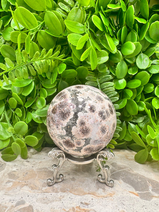 Russian Flower Agate Sphere 559g