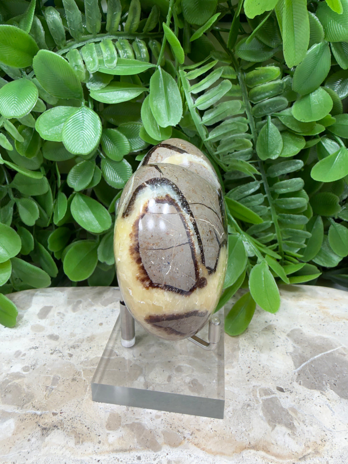 Septarian Dragon Stone Heart 290g