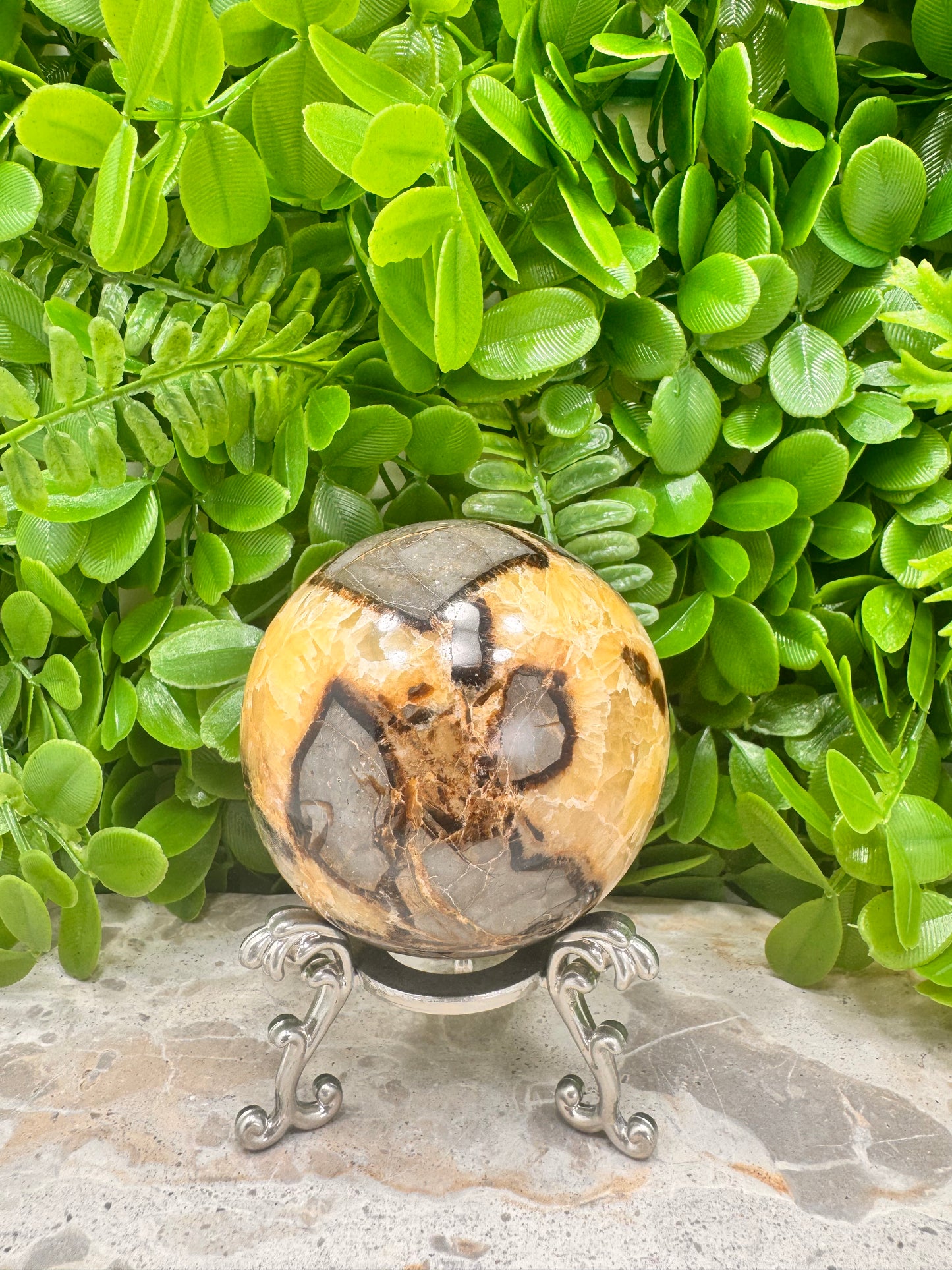 Septarian Sphere 584g