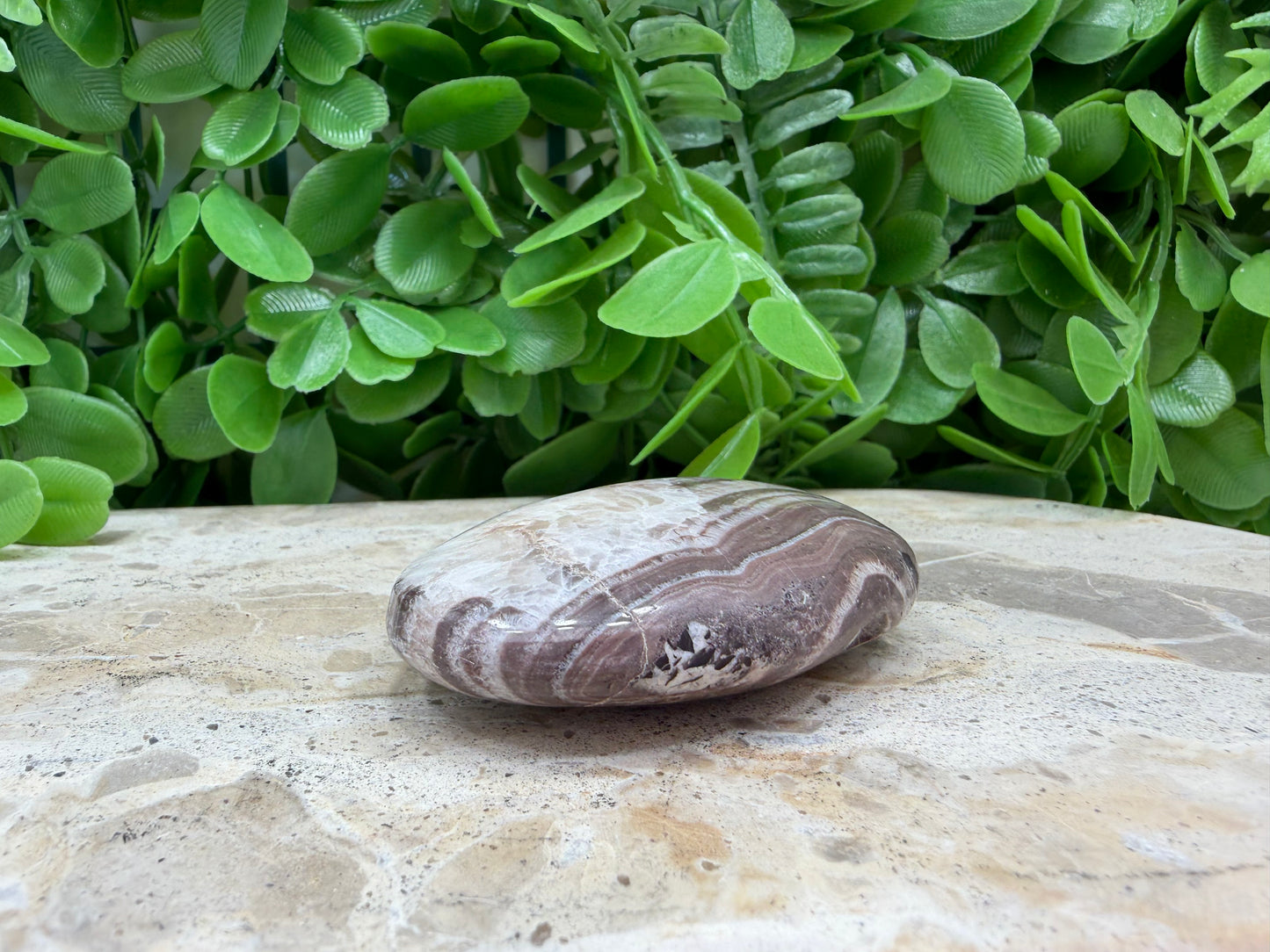 Chocolate Aragonite Palm Stone 84g