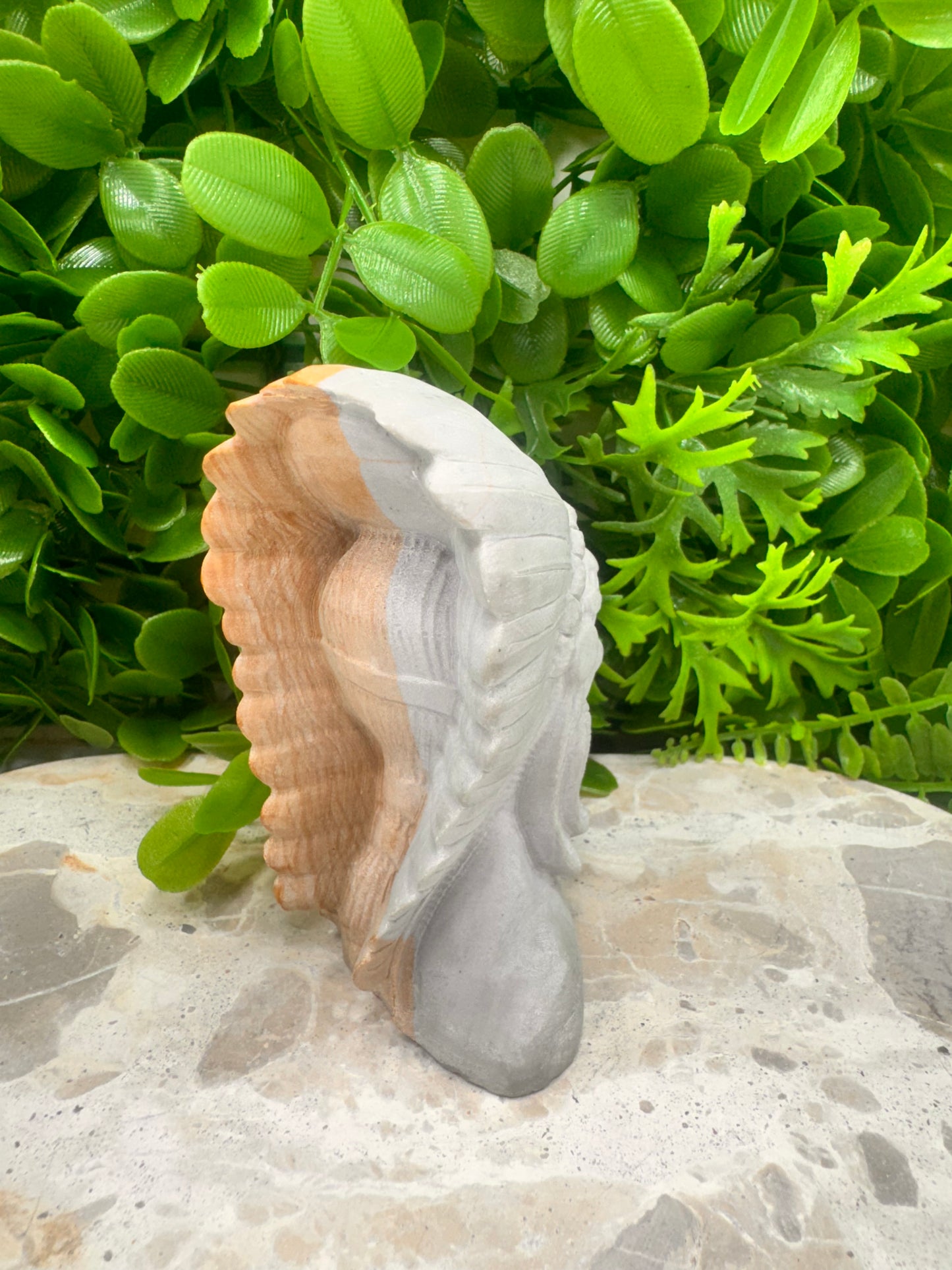 Picture Jasper Chief 380g