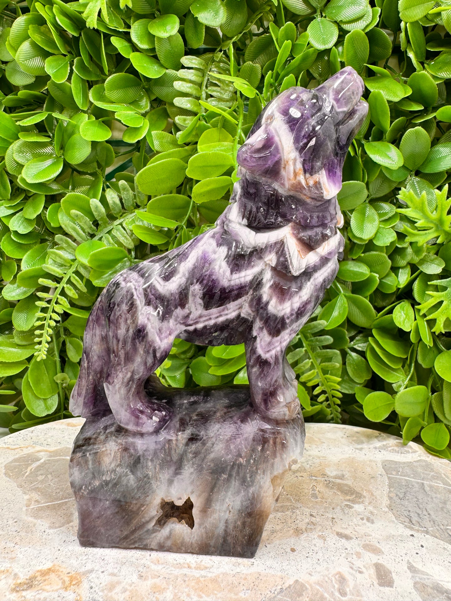 Chevron Amethsyt Wolf 920g