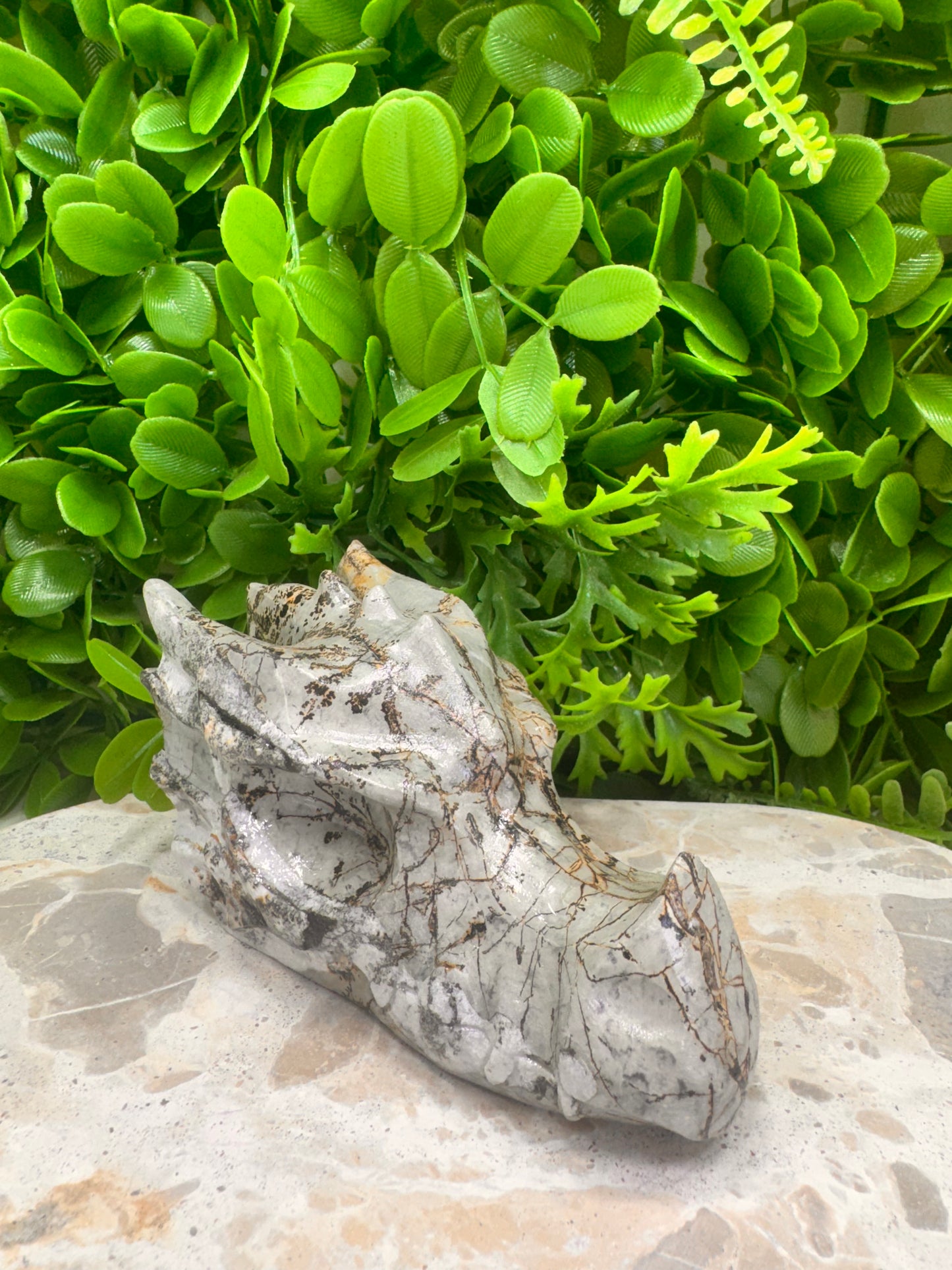 Picture Jasper Dragon Skull 530g