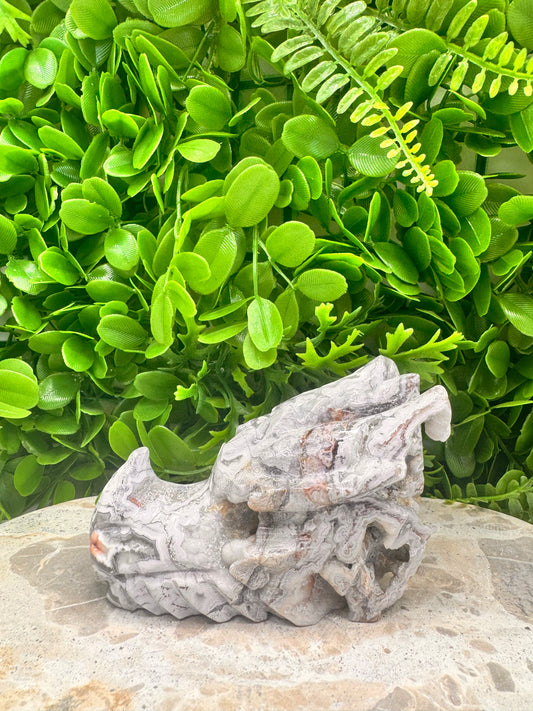 Mexican Agate Druzy Dragon Skull 620g