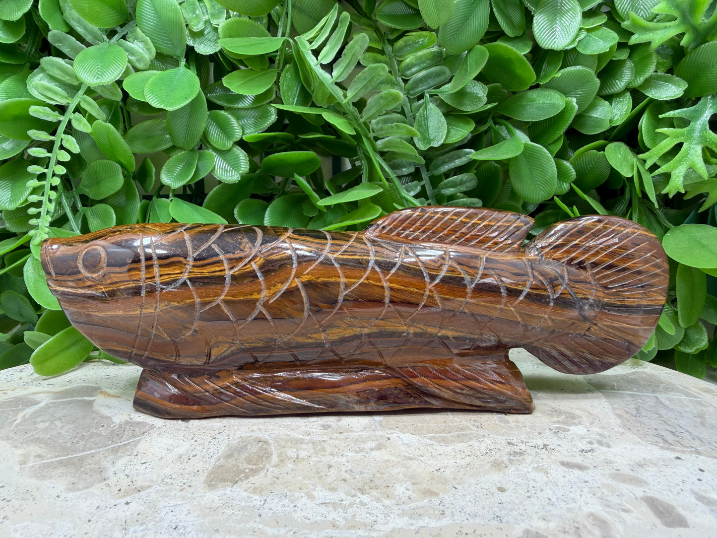Tiger Eye/Tiger Ore Fish 456g