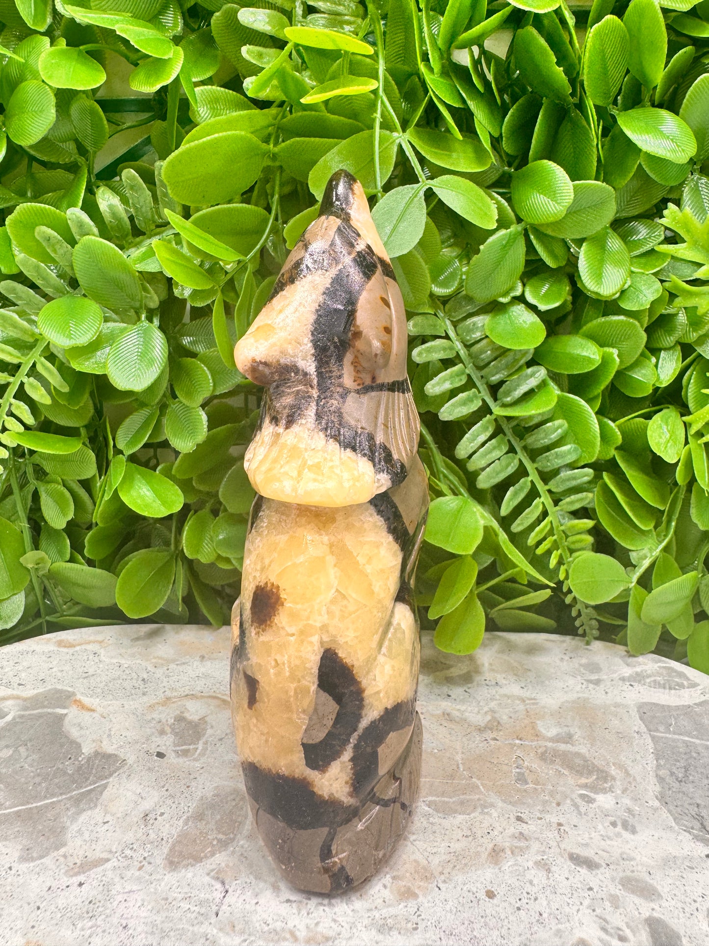 Septarian Dragon Stone 579g