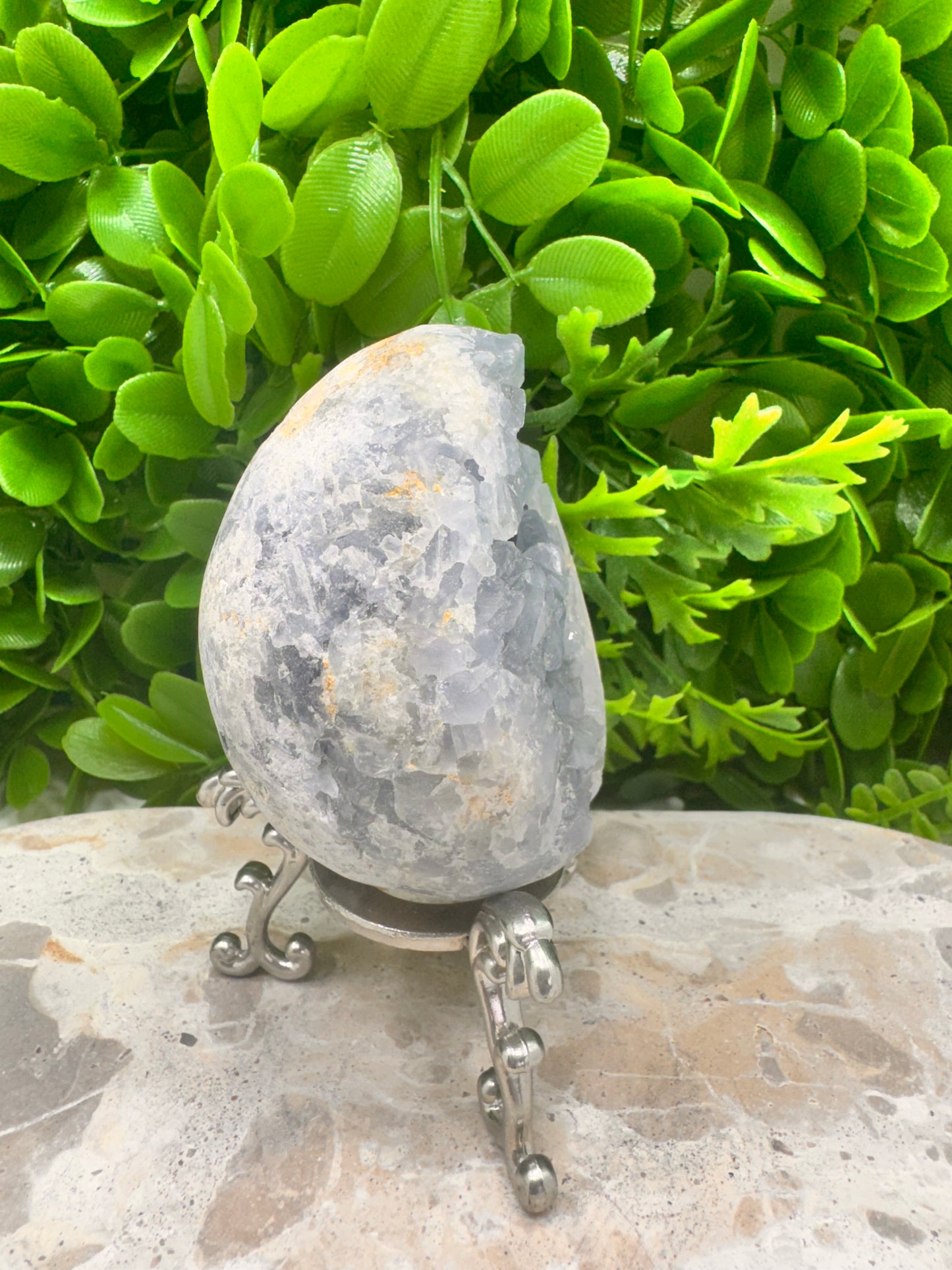 Blue Celeste Egg 510g