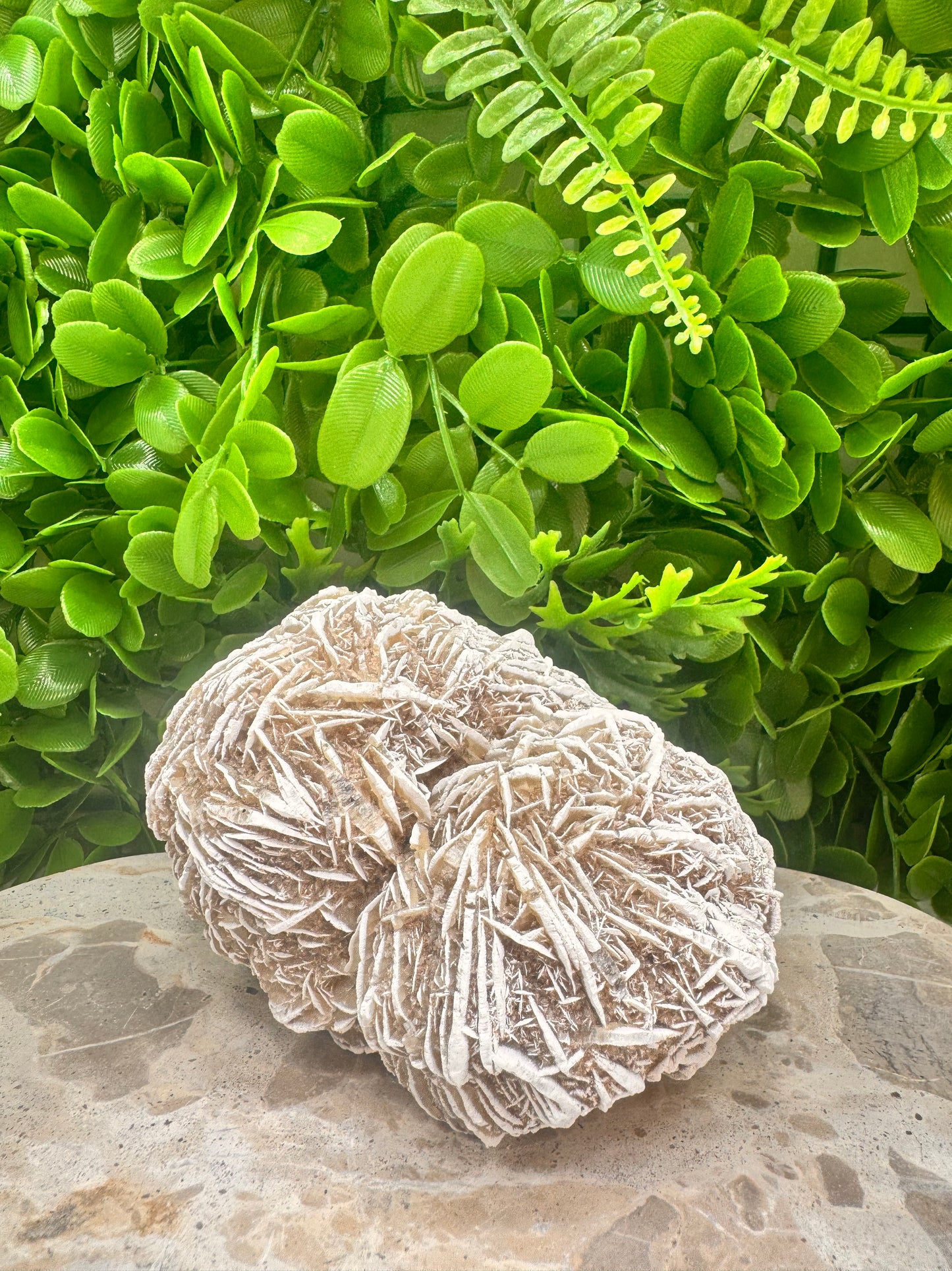 Desert Rose Selenite Cluster  1004g