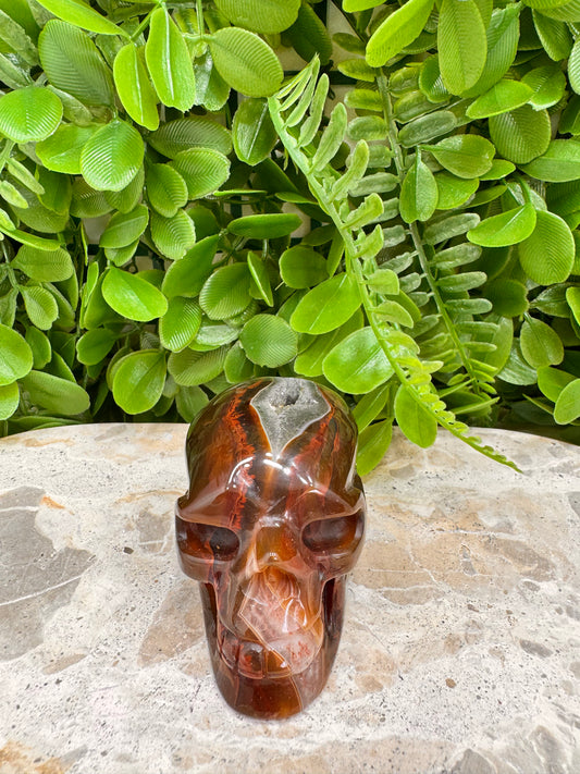 Agate Druzy Skull 218g