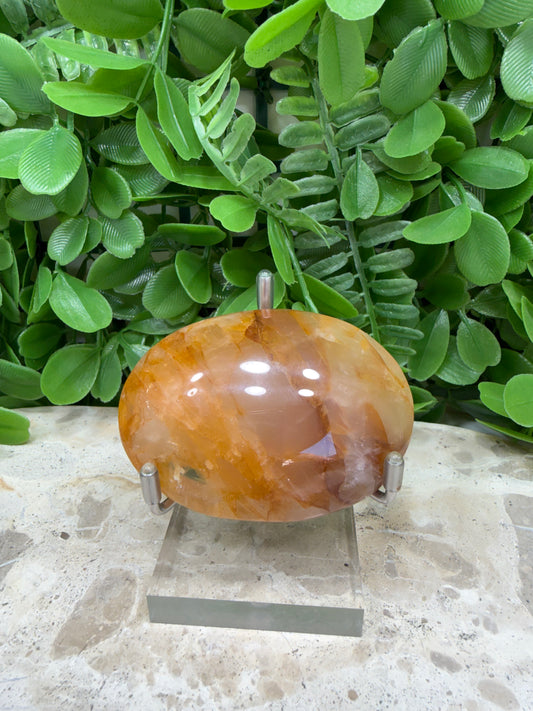 Golden Healer Palm Stone 118g