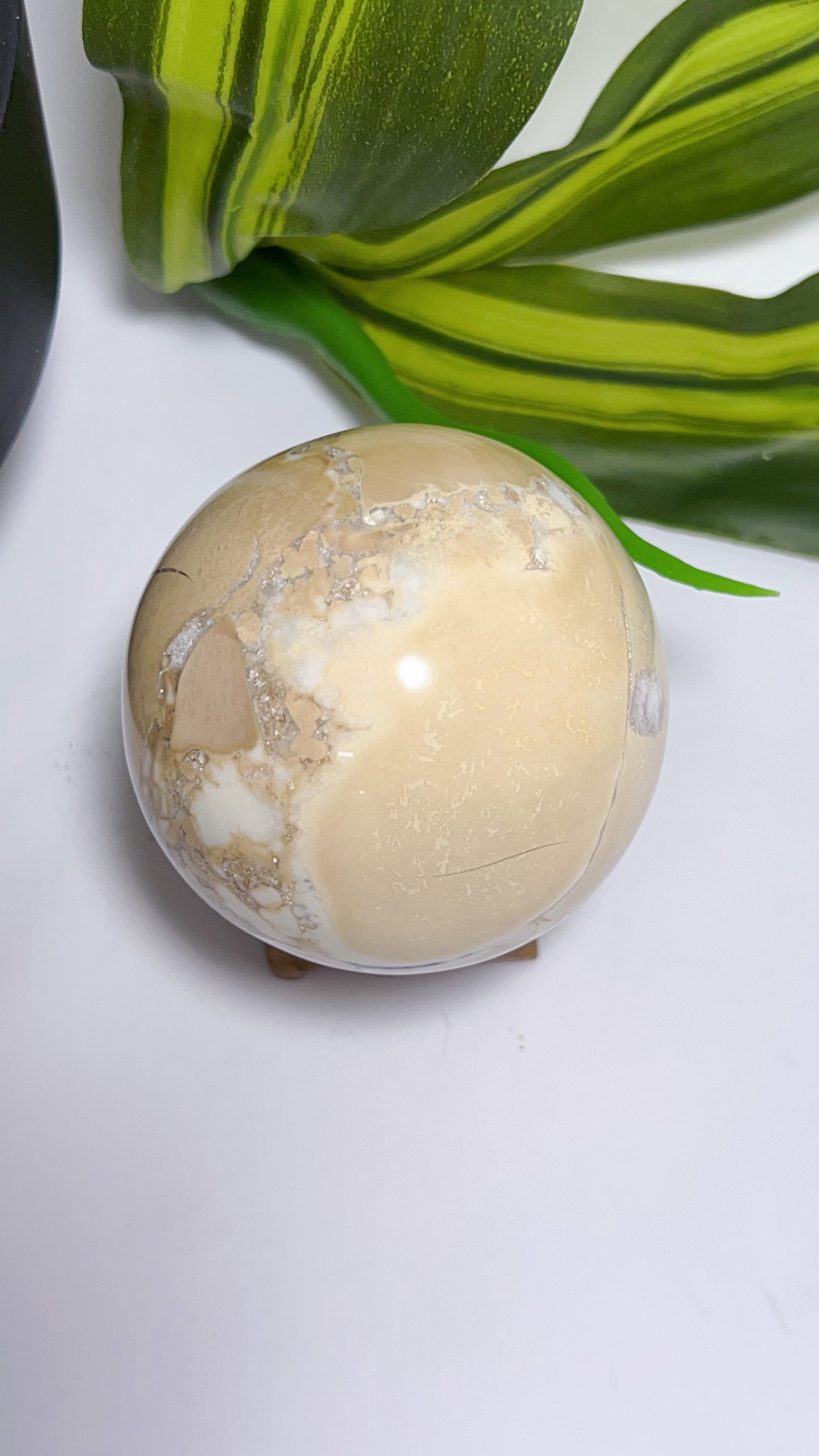 Spotted Agate Sphere  460g