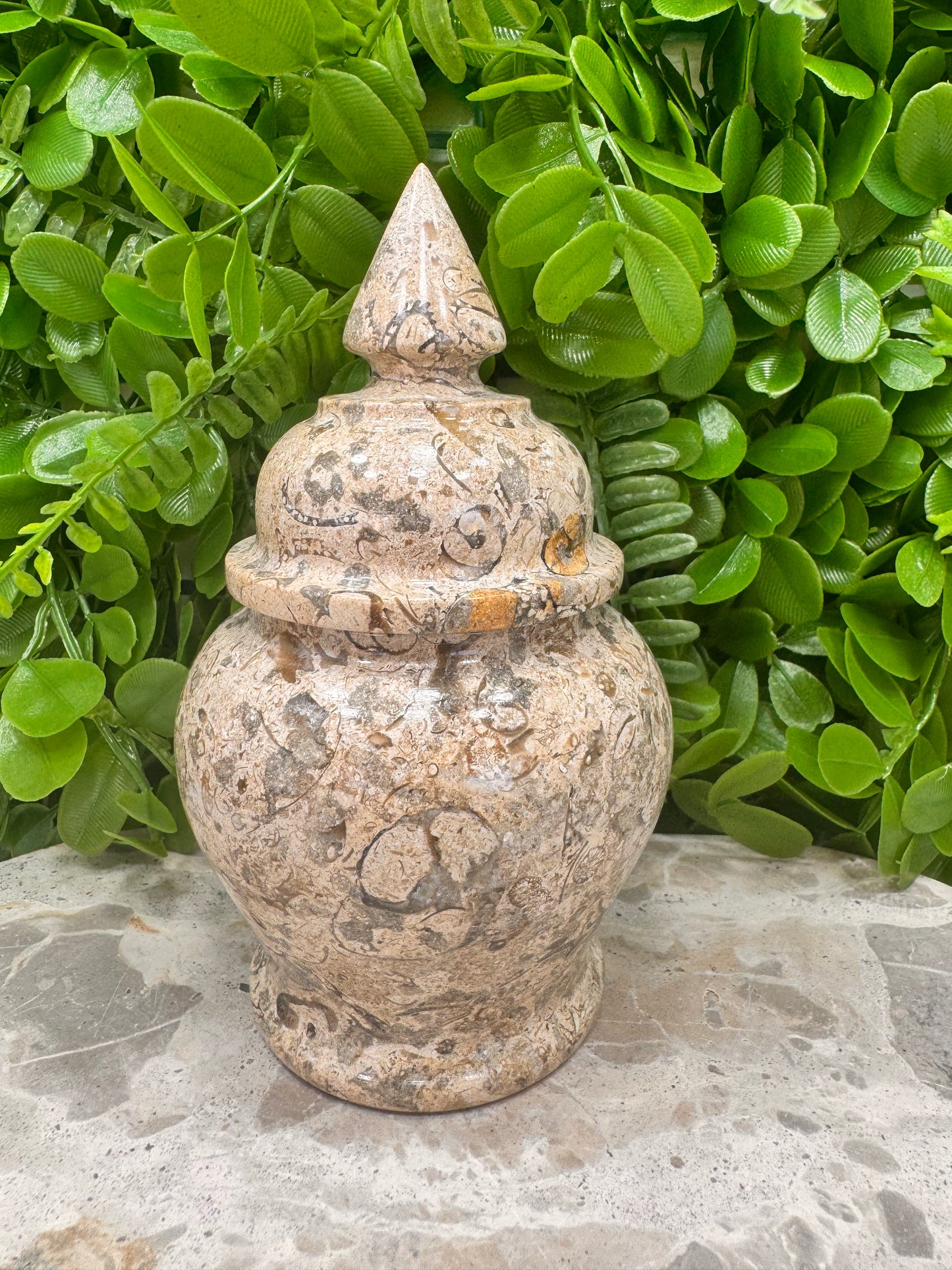 Shell Jasper Jar with Lid 598g