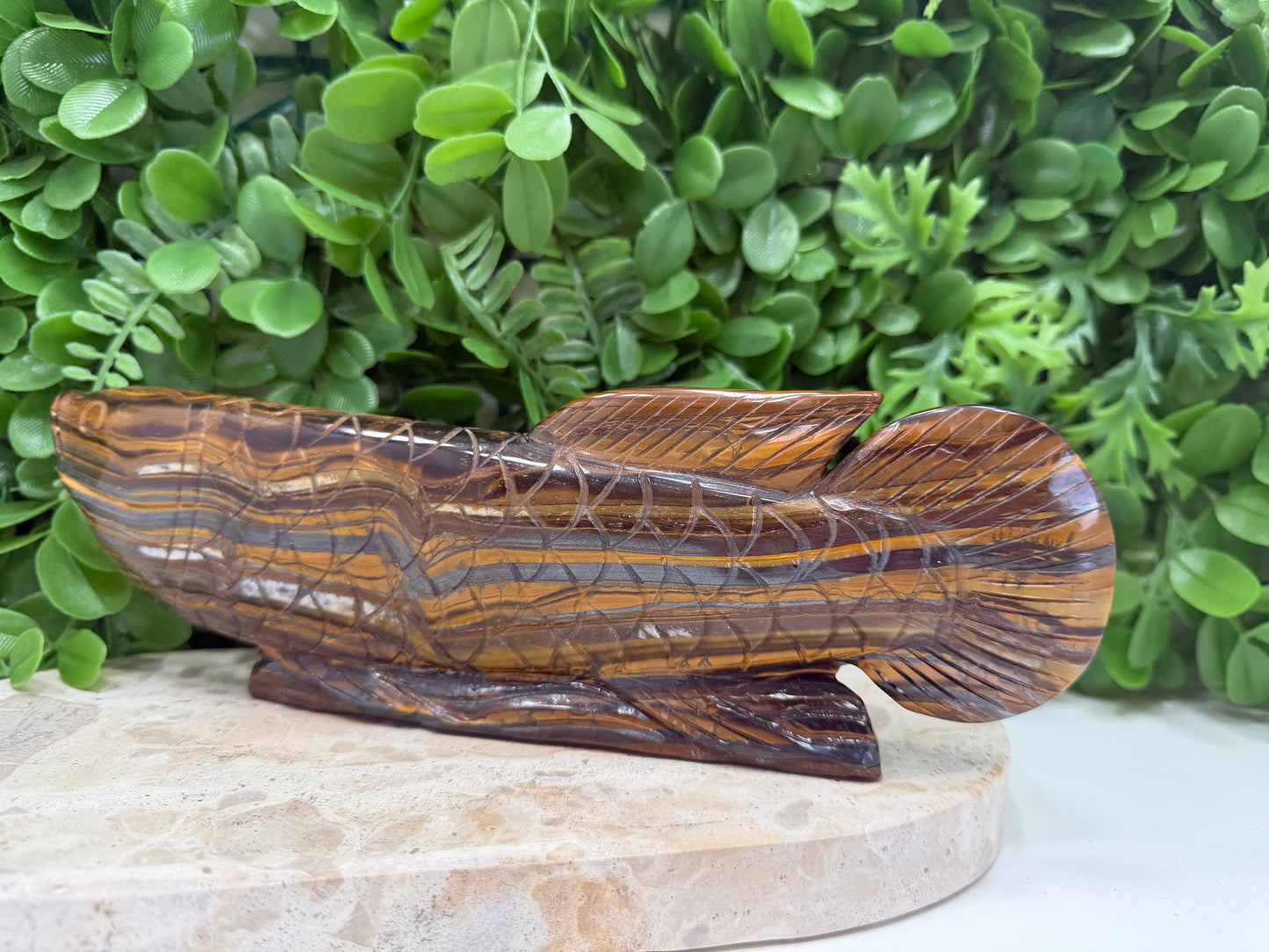 Tiger Eye/Tiger Ore Fish 756g
