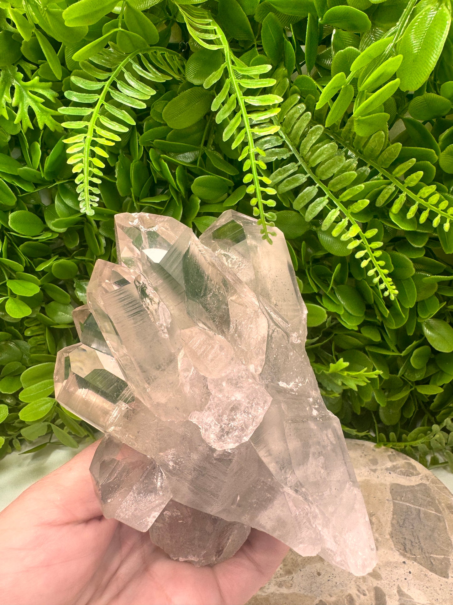 Black Phantom Quartz Freeform 844g