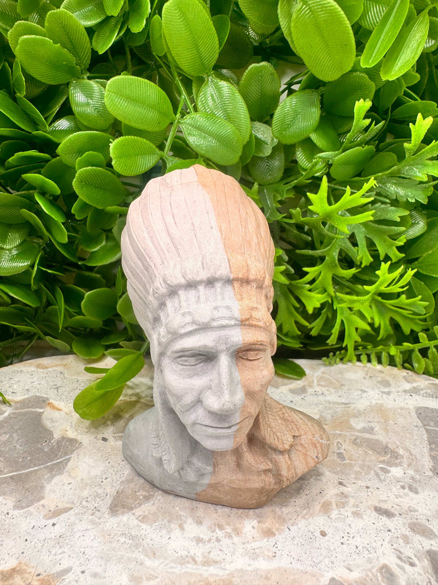 Picture Jasper Chief 380g