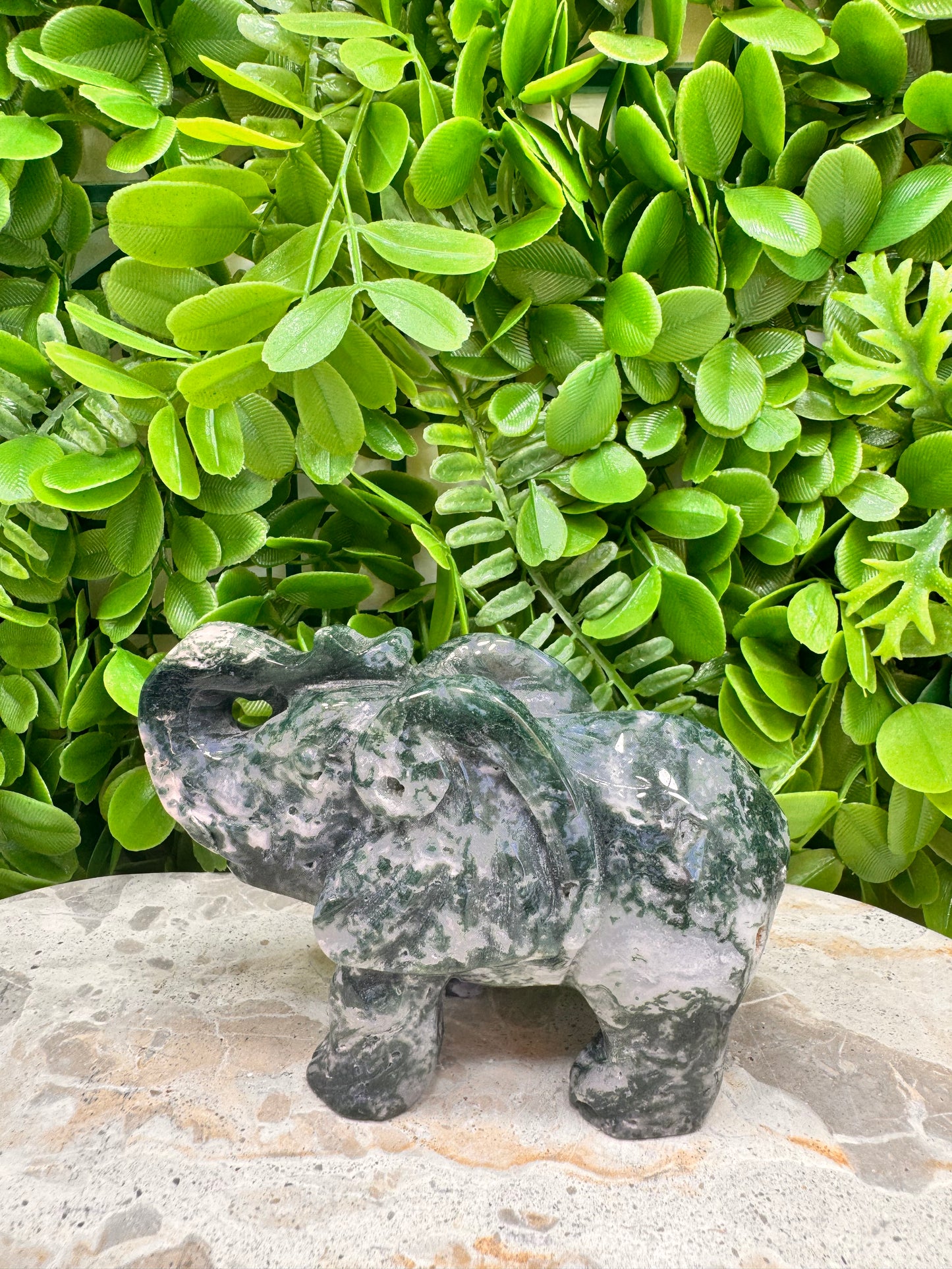 Moss Agate Elephant 532g