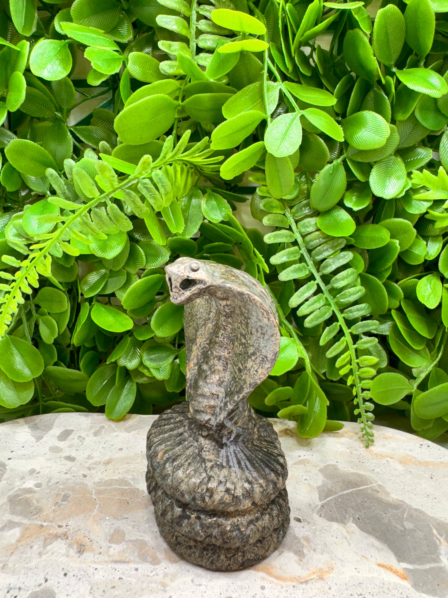 Pyrite Cobra 418g