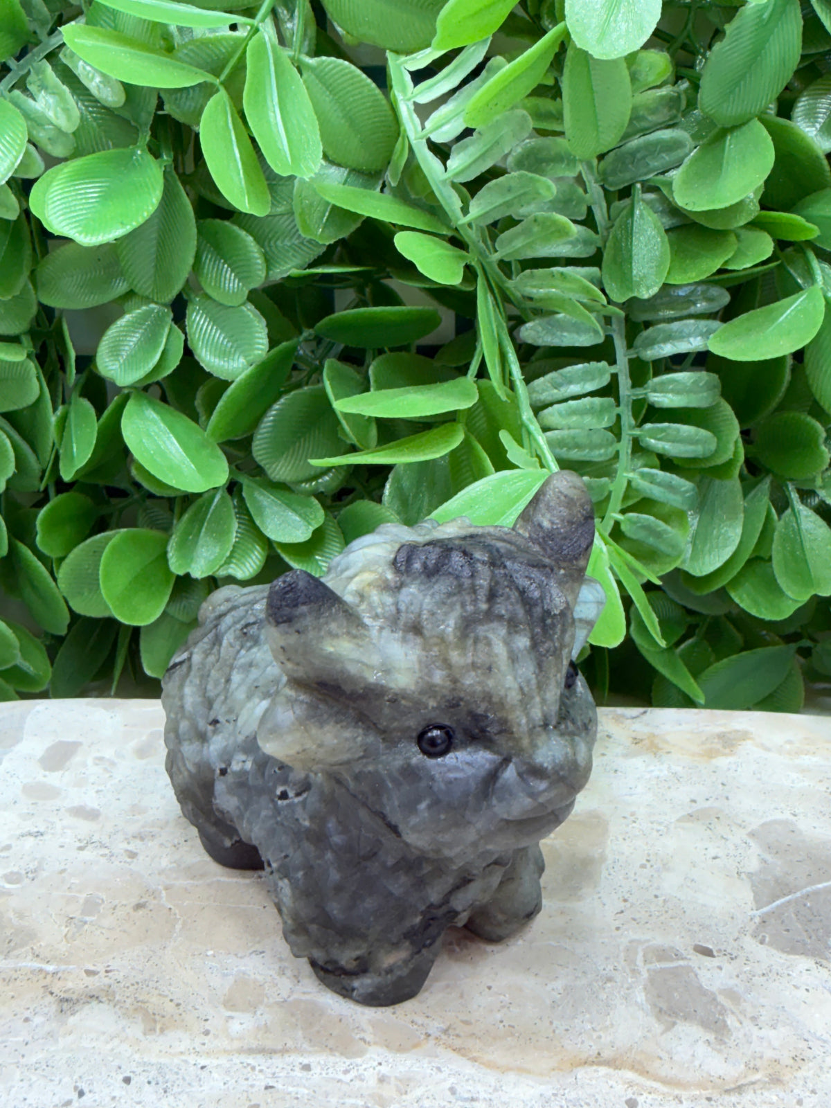 Labradorite Highland Cow 274g | Protection • Intuition • Transformation