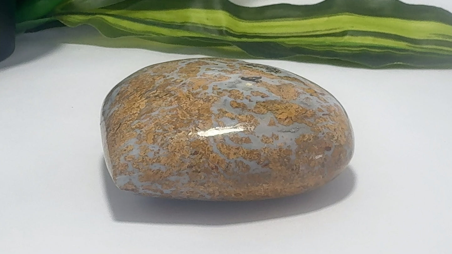 Jasper Agate Heart 166g