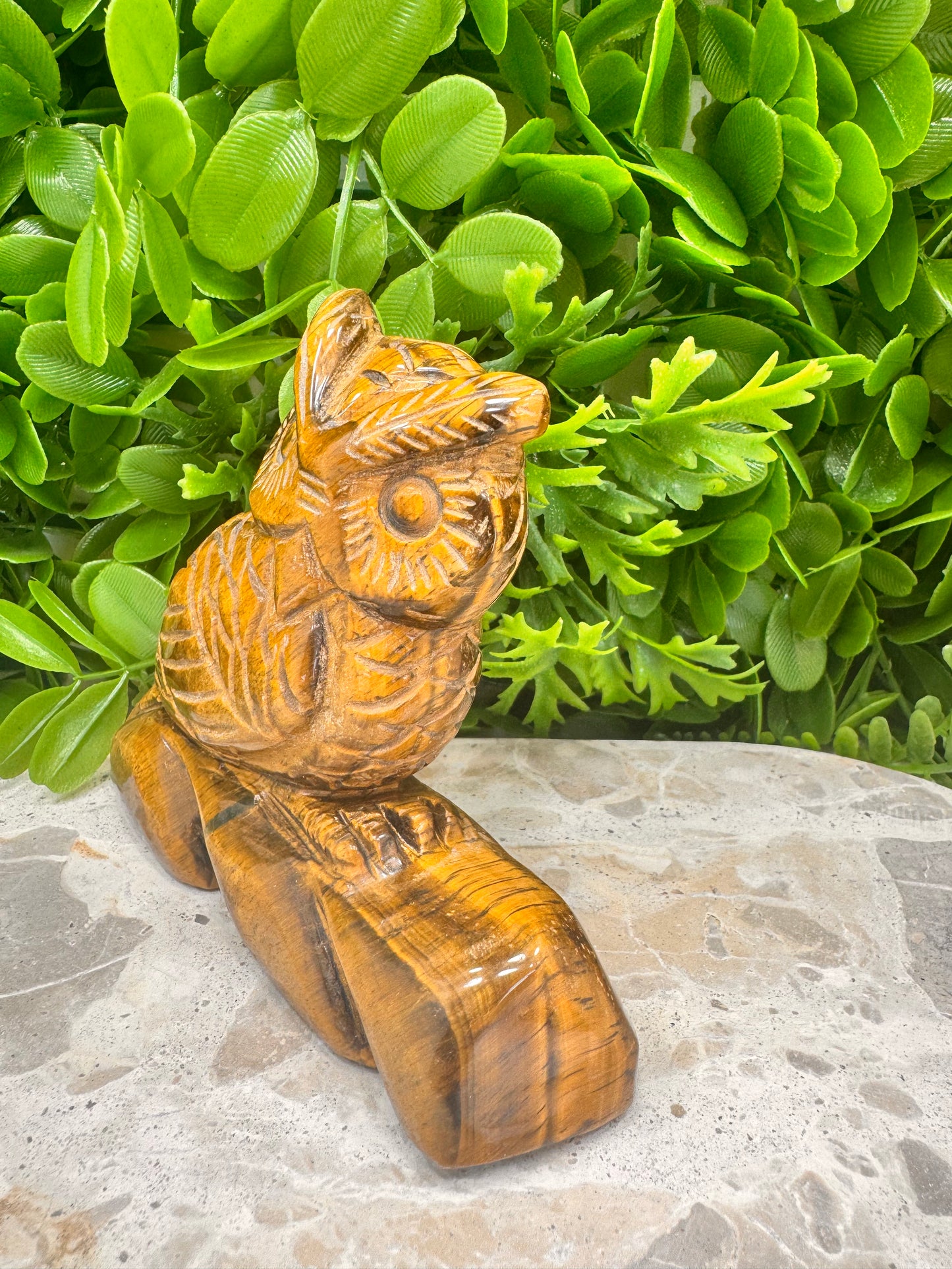 Tiger Eye Owl on a Log 590g