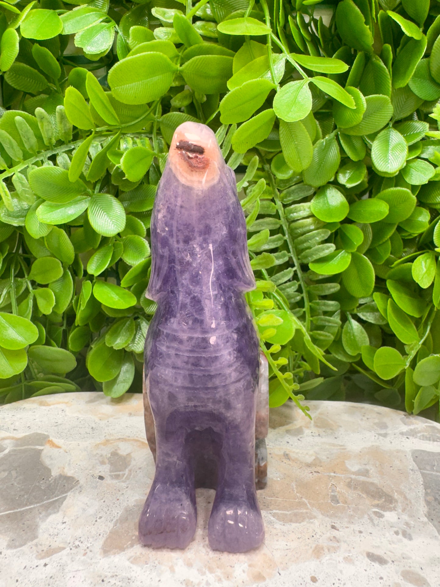 Amethyst Mexican Agate Wolf 498g