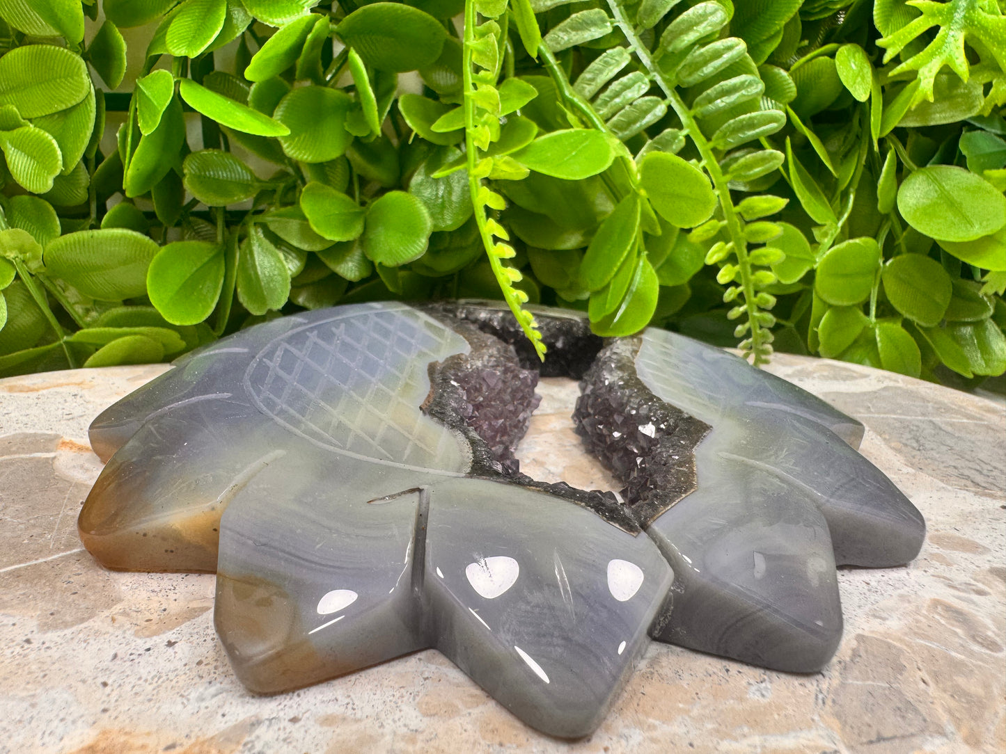 Agate Amethyst Druzy Sunflower 402g