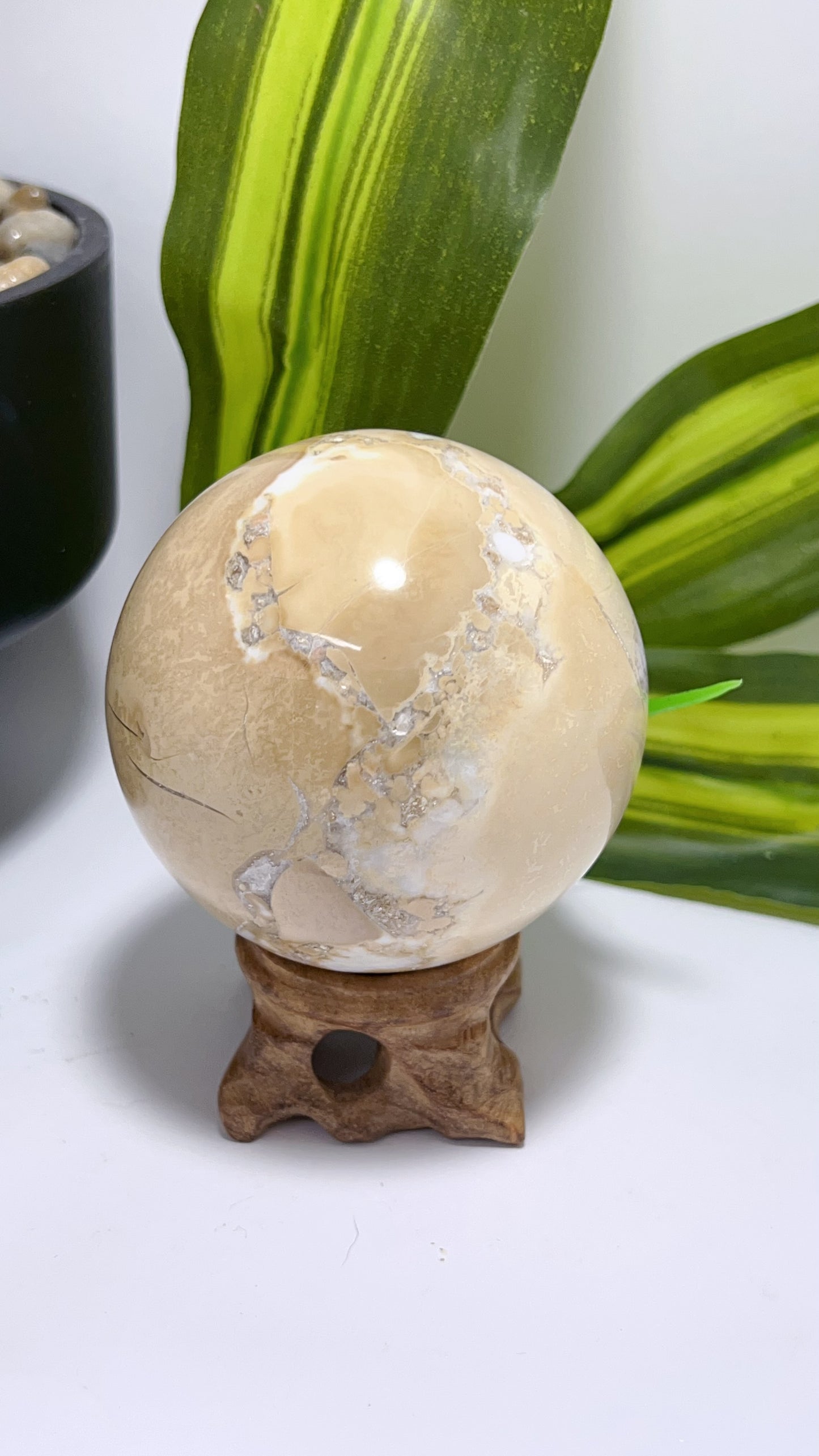 Spotted Agate Sphere  460g