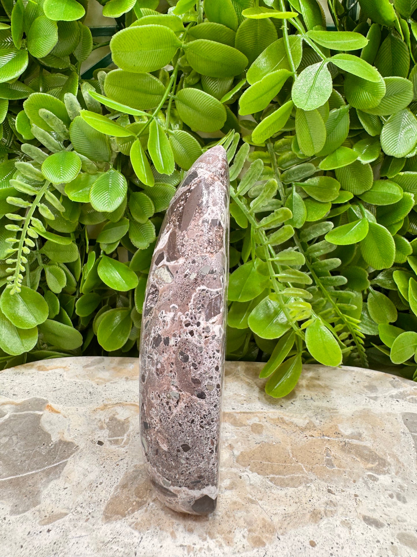 Chocolate Aragonite Freeform 444g