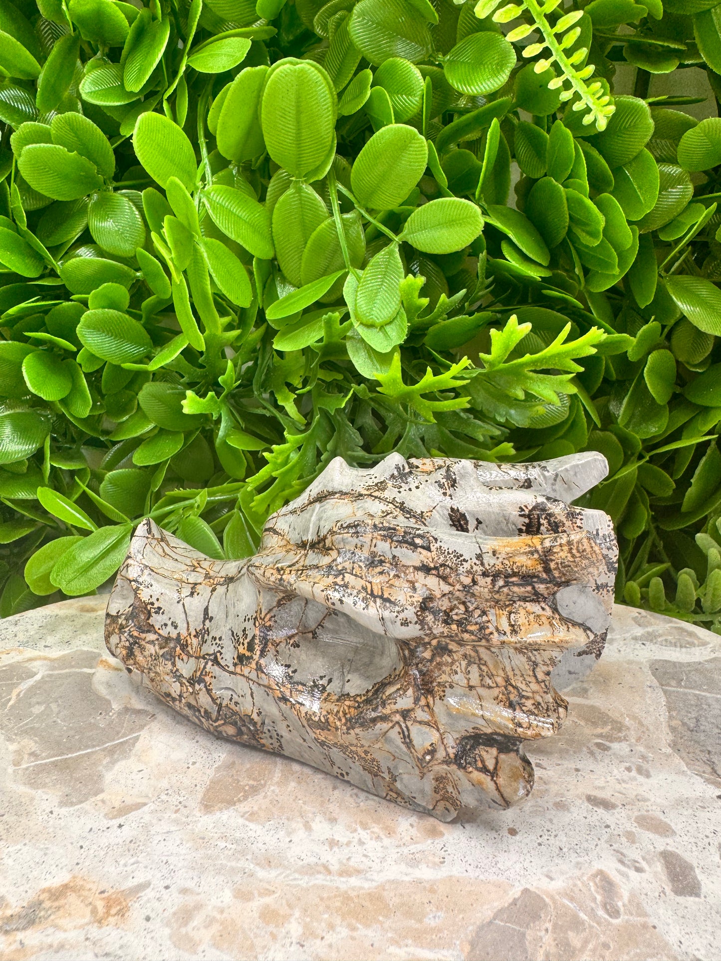 Picture Jasper Dragon Skull 530g