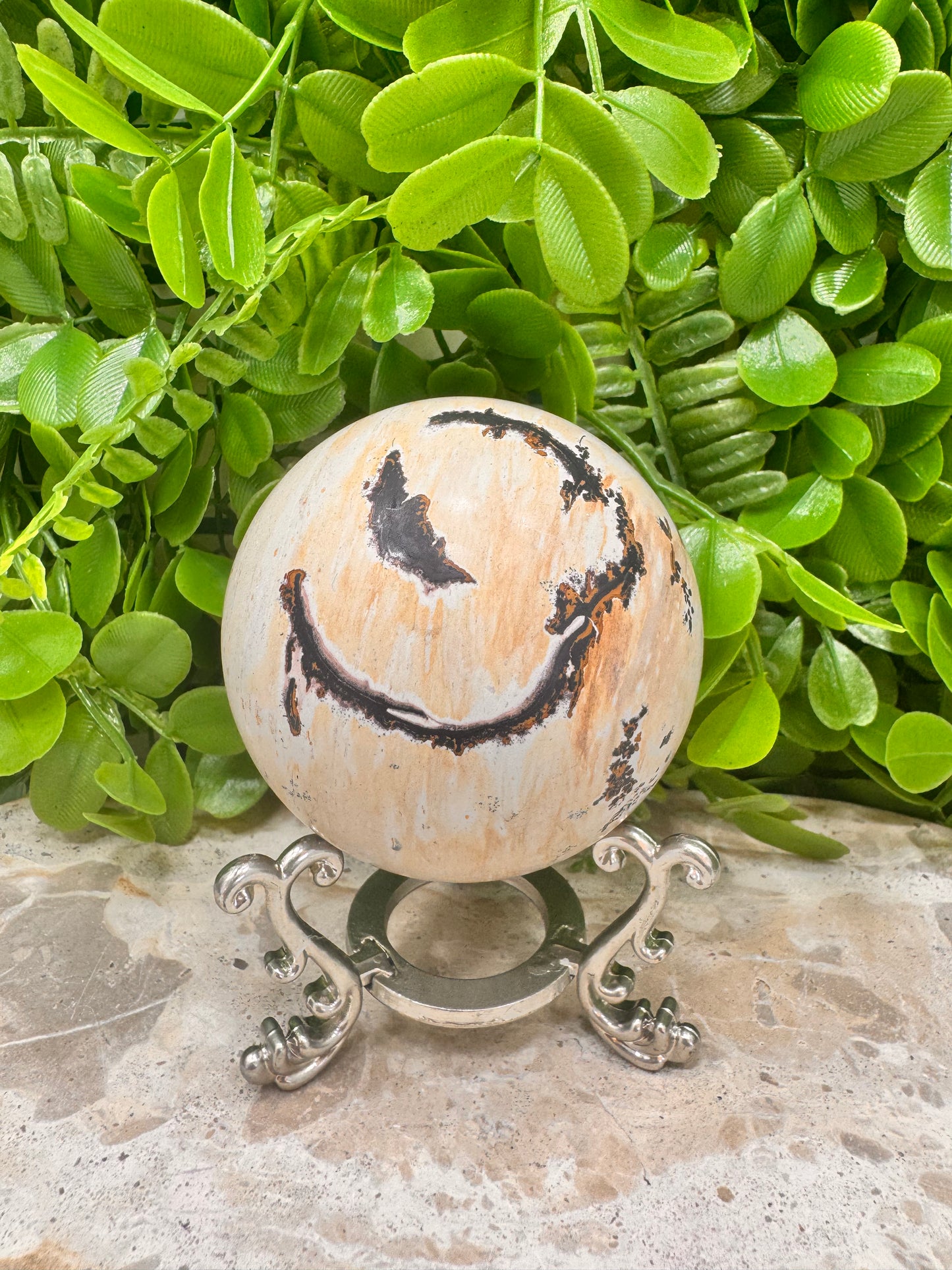 Picture Jasper Sphere 466g