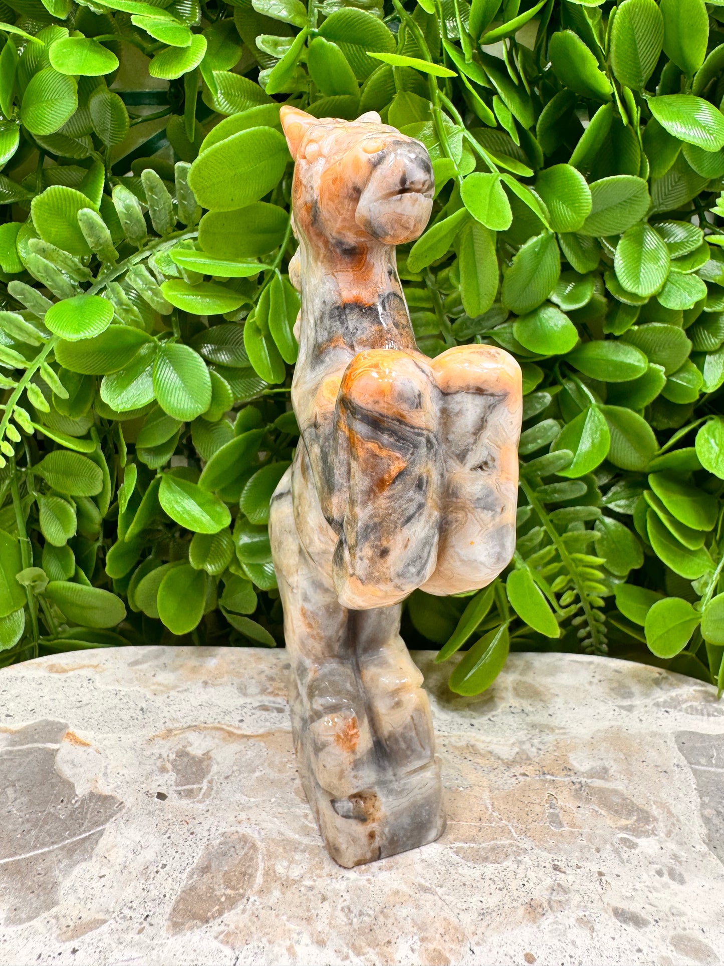 Crazy Lace Agate Horse 410g