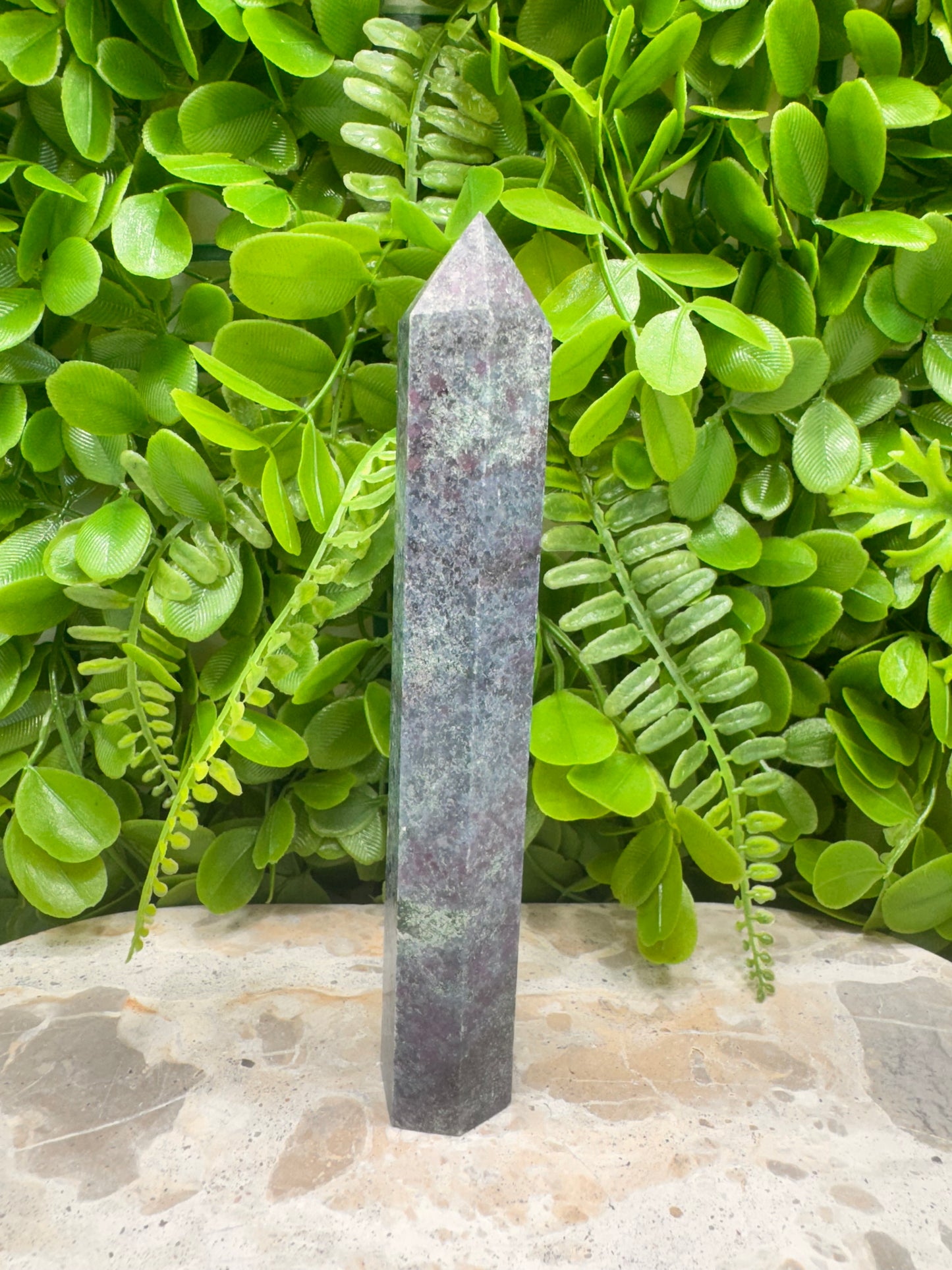 Ruby in Kyanite Tower 264g