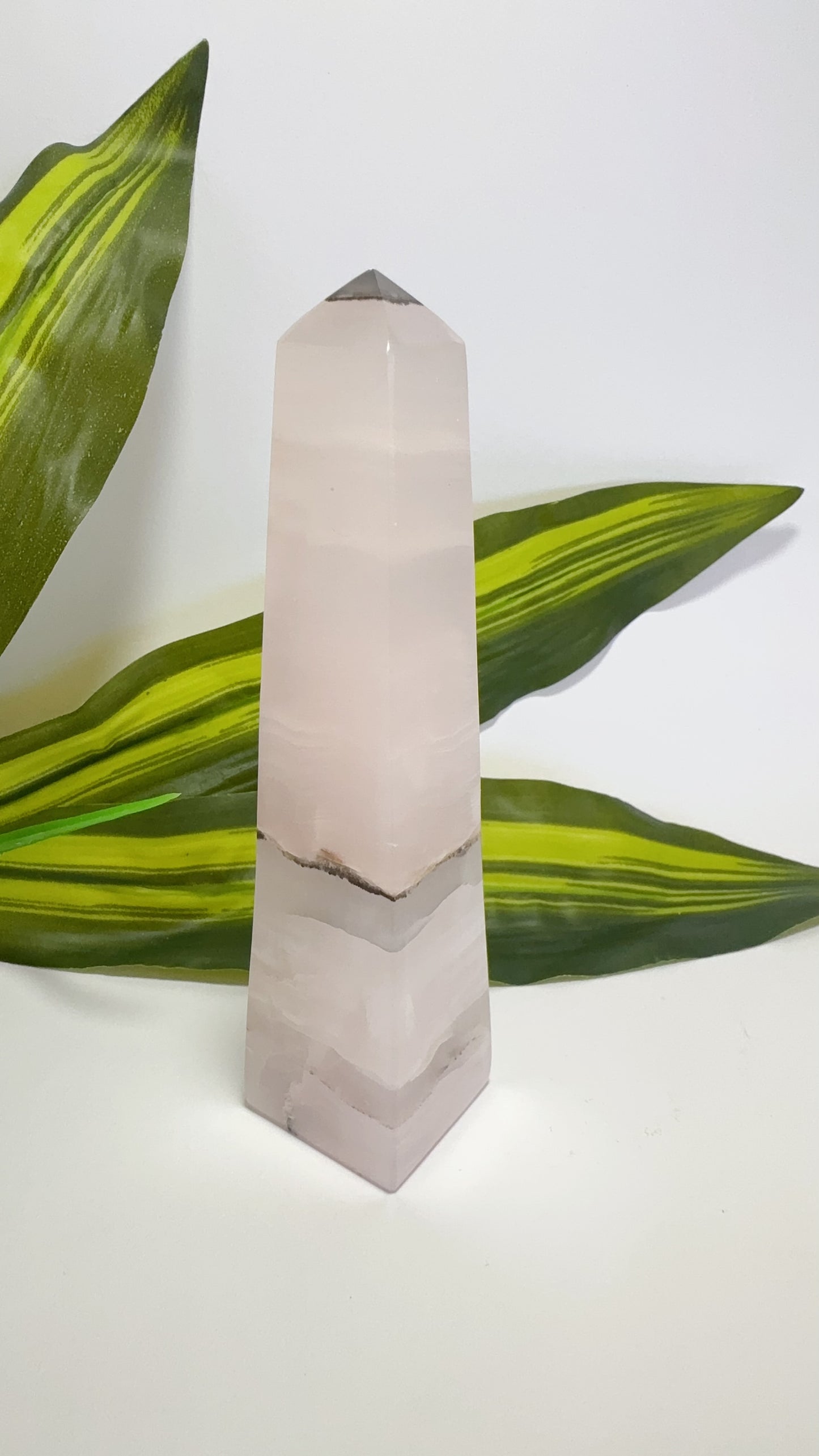 Smoky Pink Mangano Tower 302g
