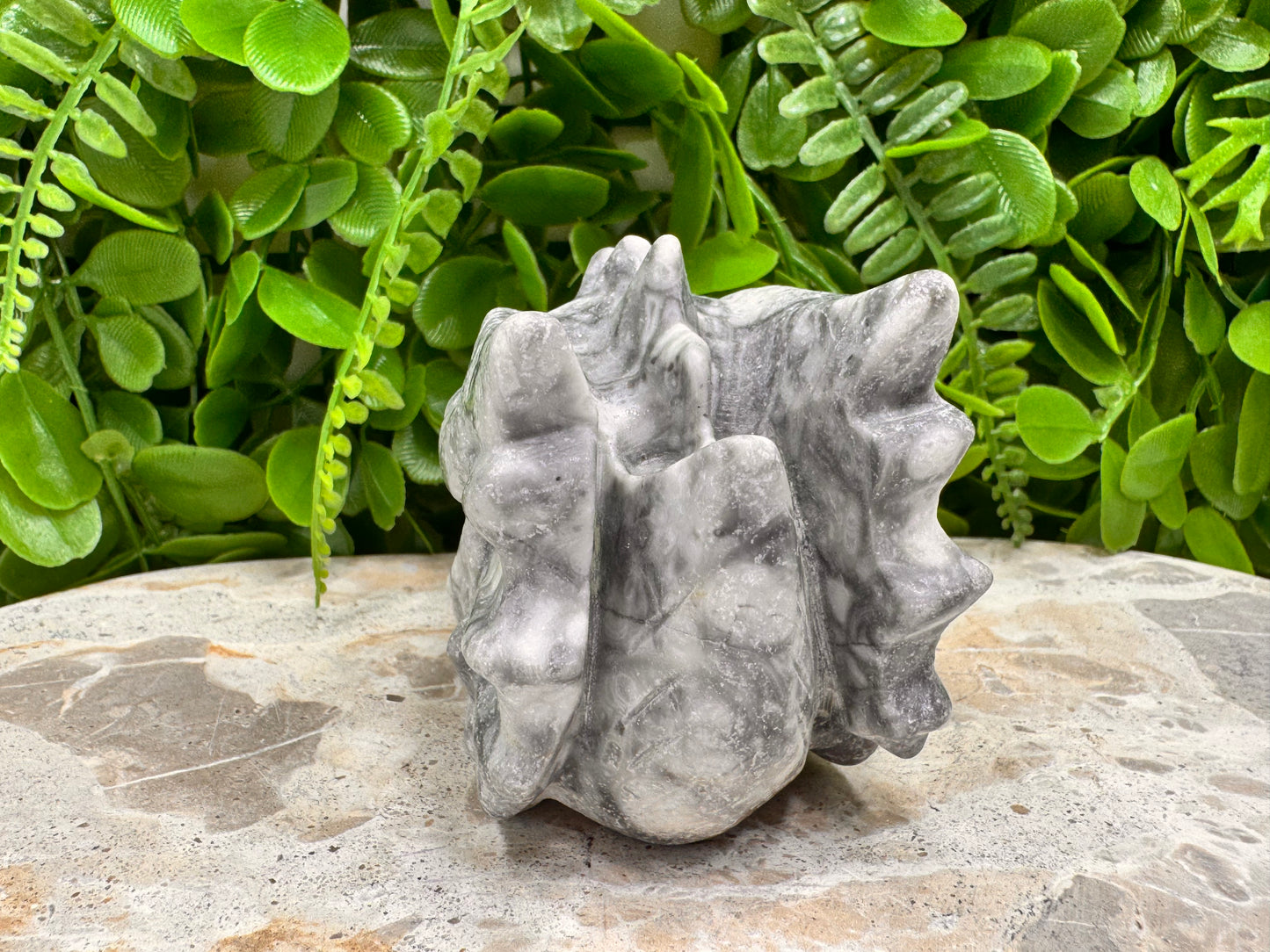 Fossil Dragon Skull 516g