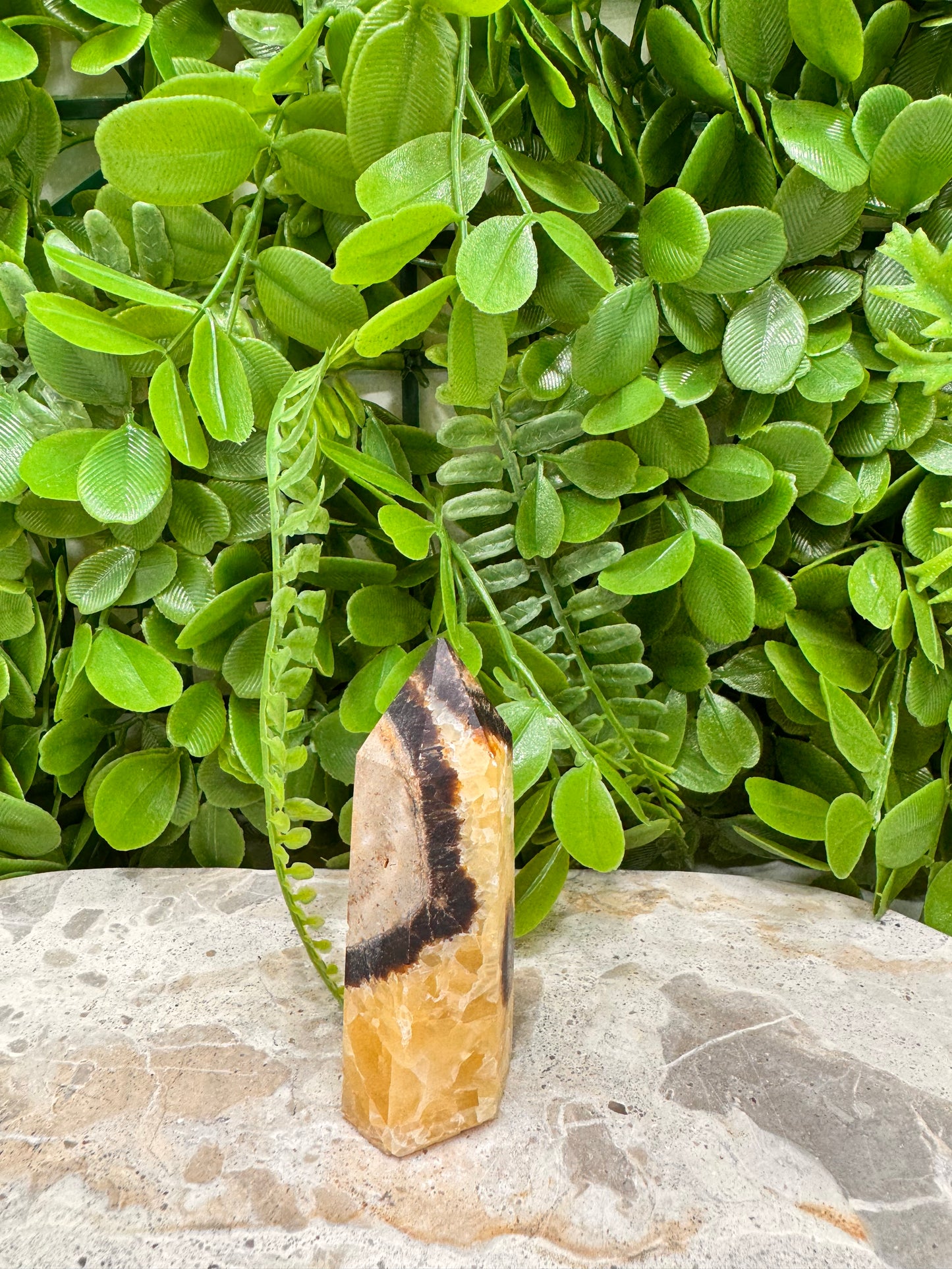 Septarian Dragon Stone Point 88g