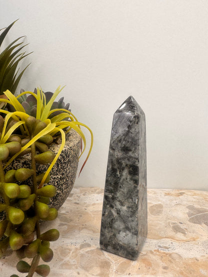 Larvikite Tower 178g