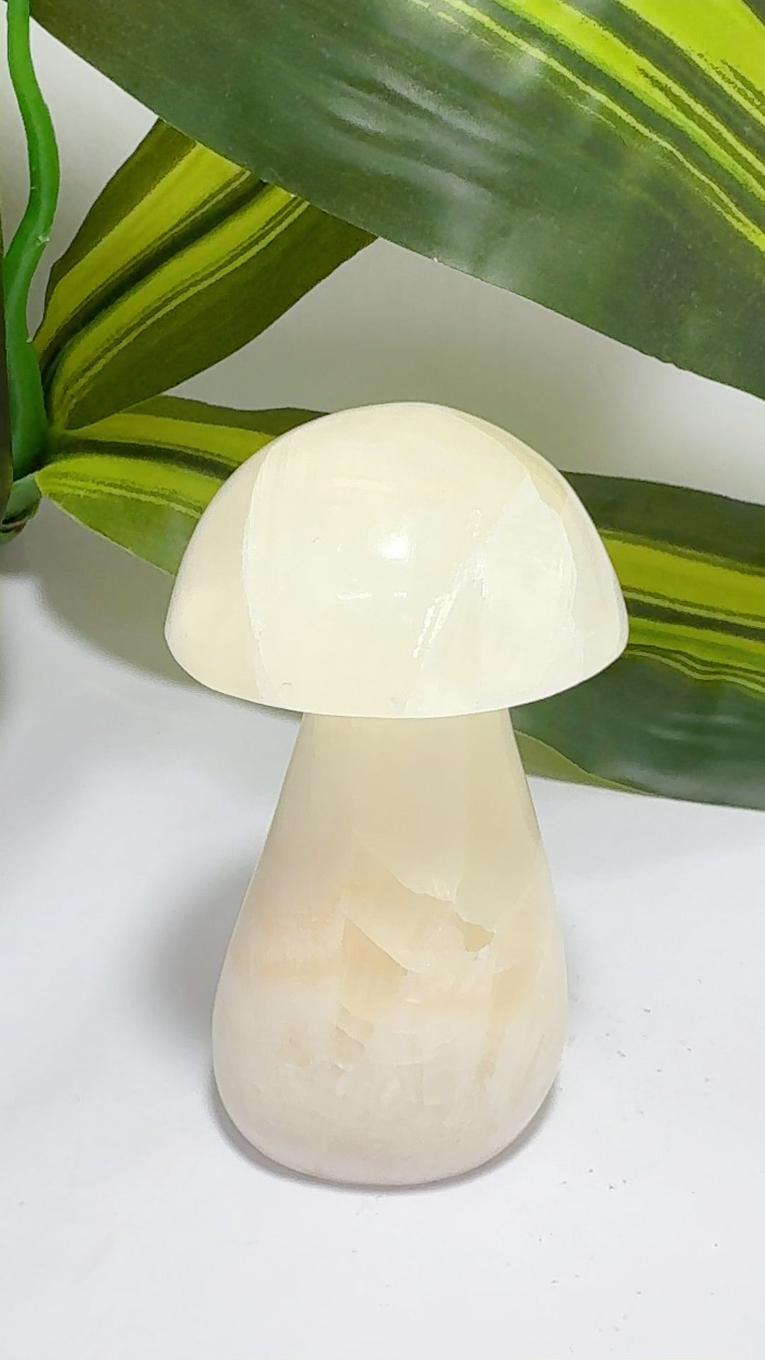 Lemon Calcite Mushroom 236g