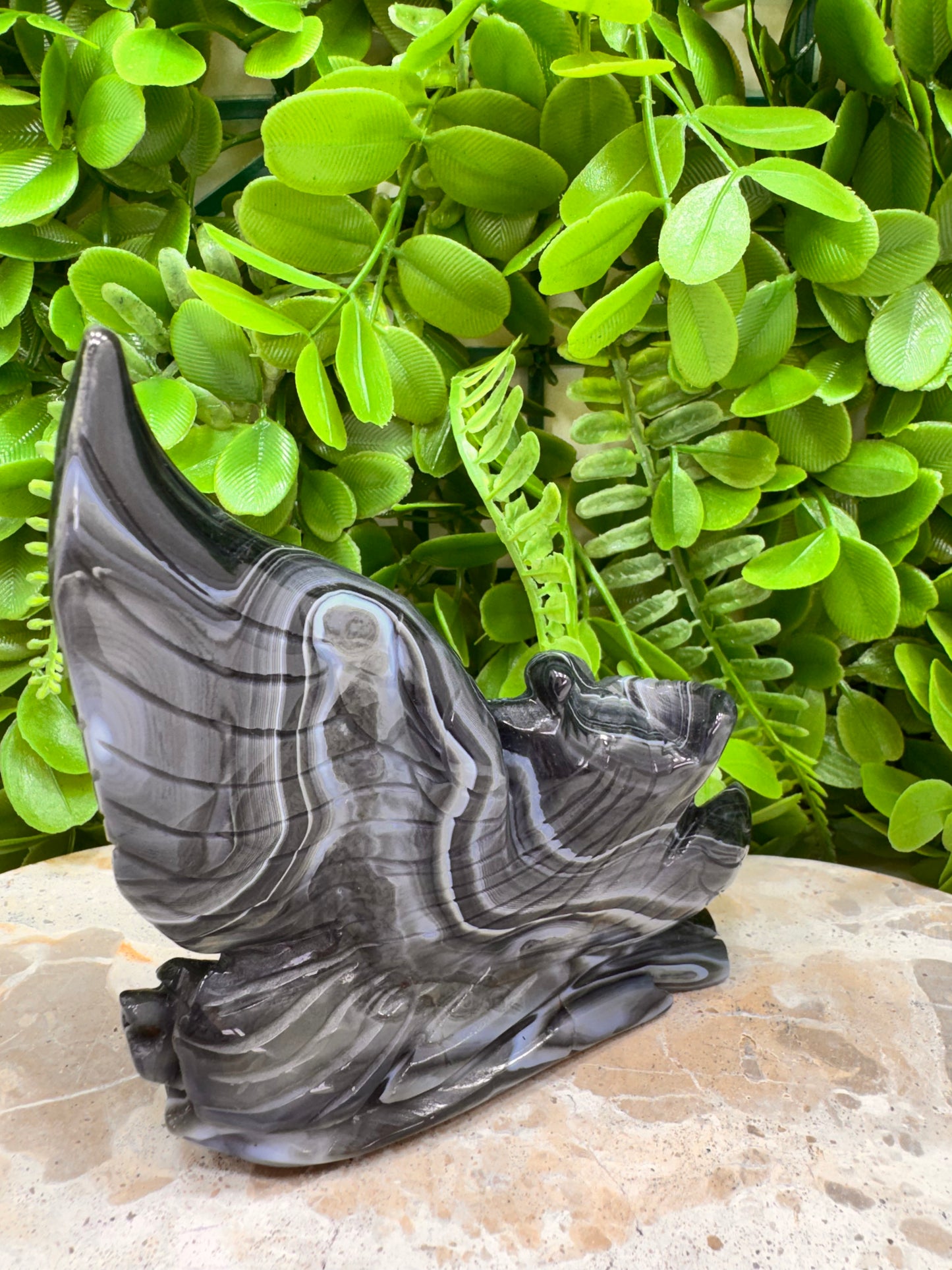 Black Agate Twin Owl Carving 404g
