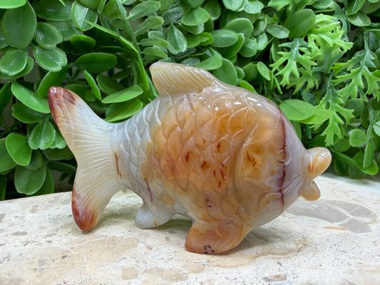 Carnelian Fish | Motivation • Confidence • Creativity