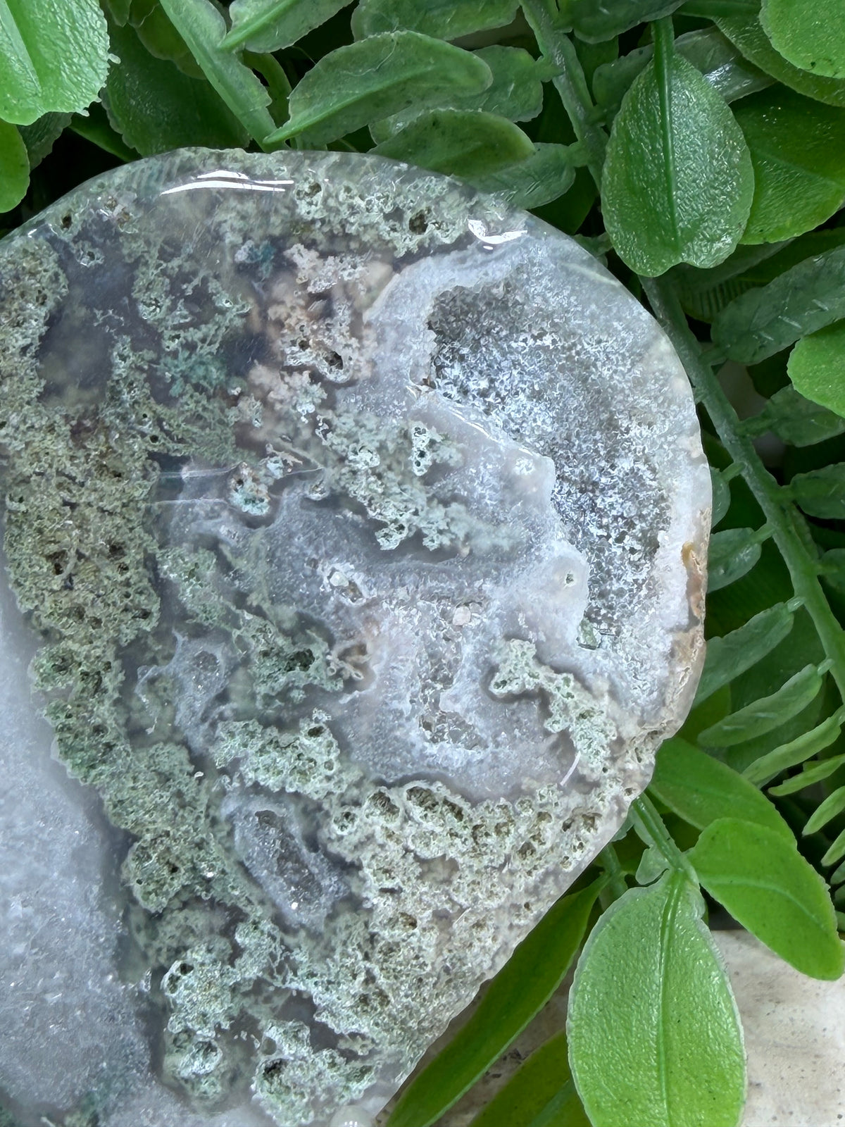 Moss Agate Heart | Growth • Abundance • Grounding
