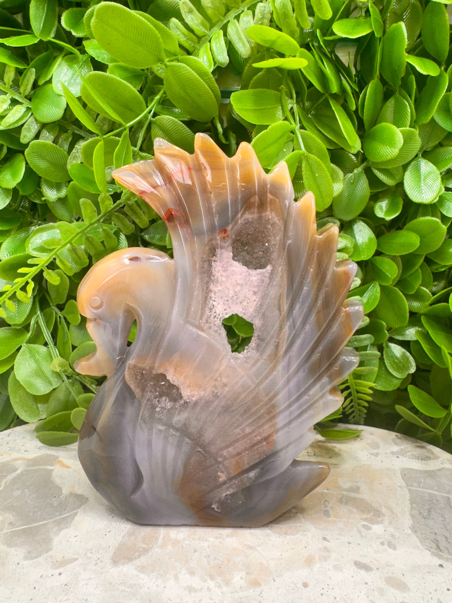 Agate Druzy Swan 312g